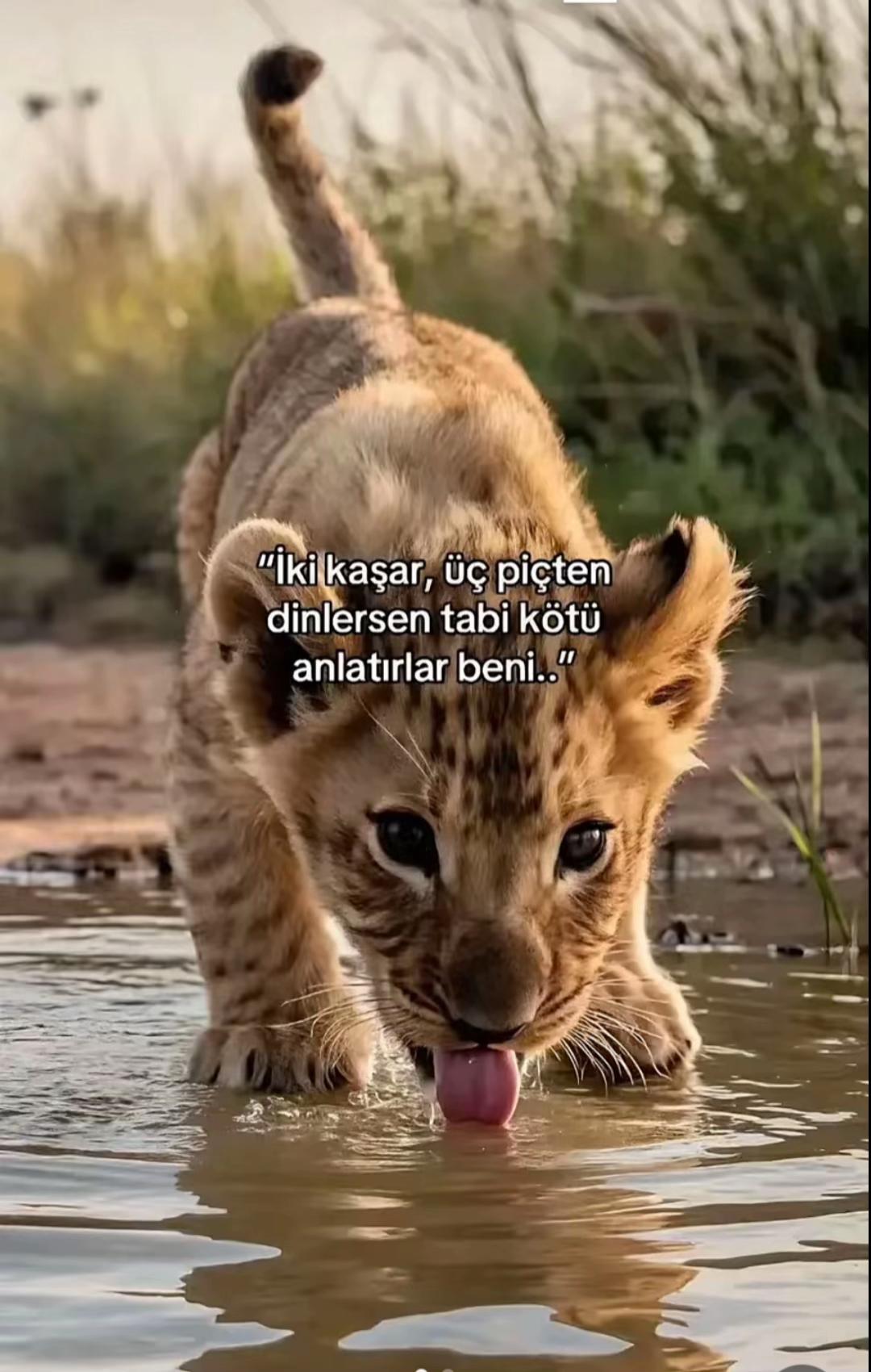@diyar_w7
