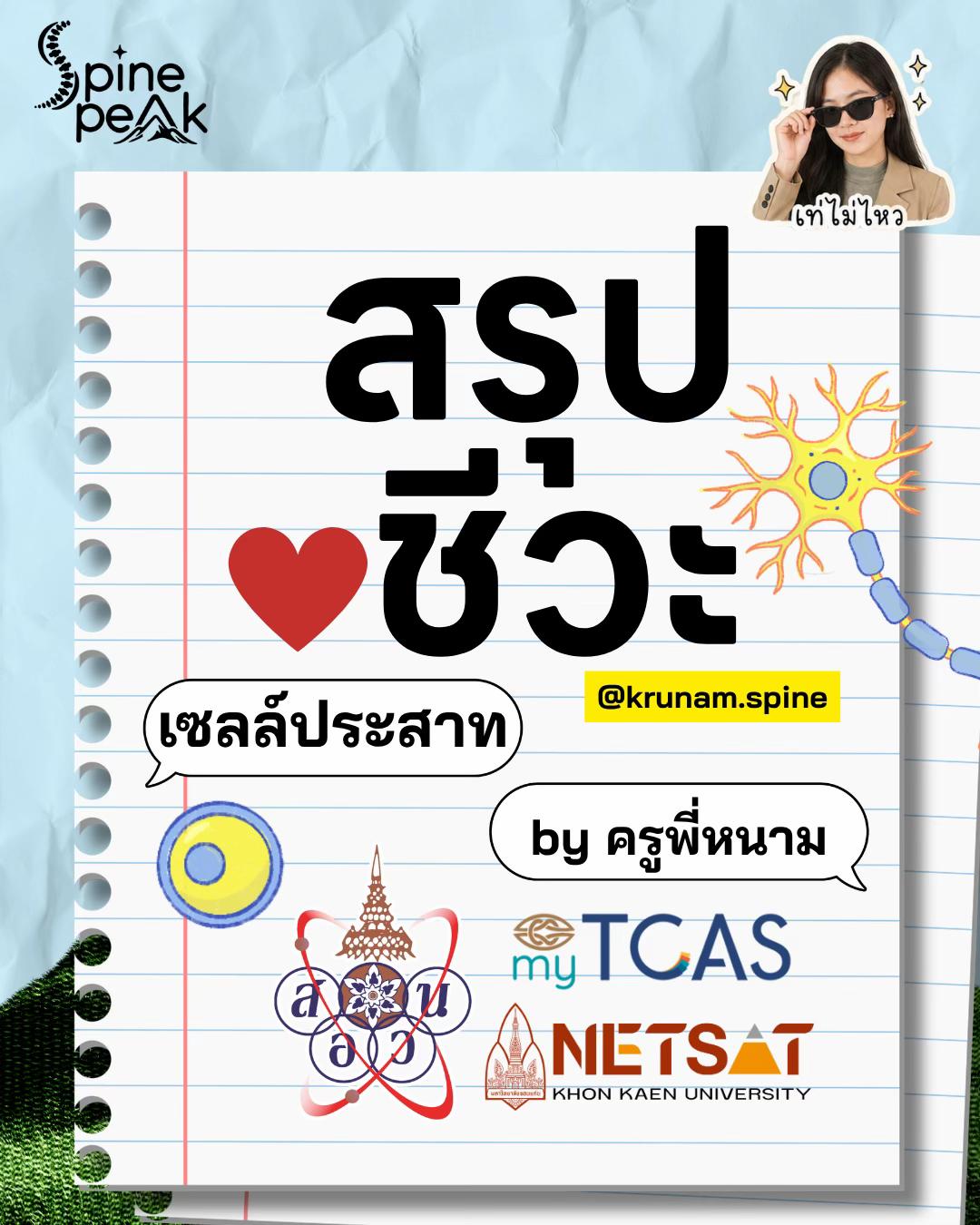 @ครูหนาม spine peak ชีวะ