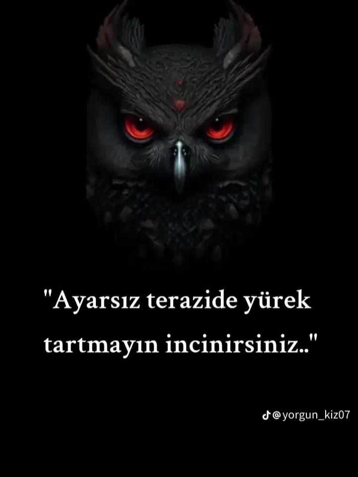 @Mustafa_kaya