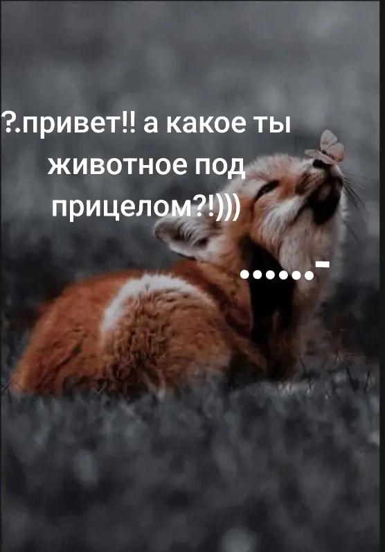 @🐾доберман бруно🐾