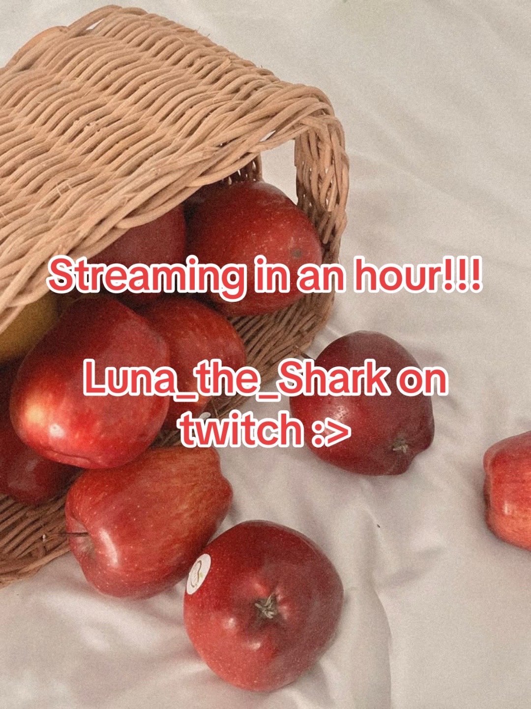 @Luna T. Shark 🍎