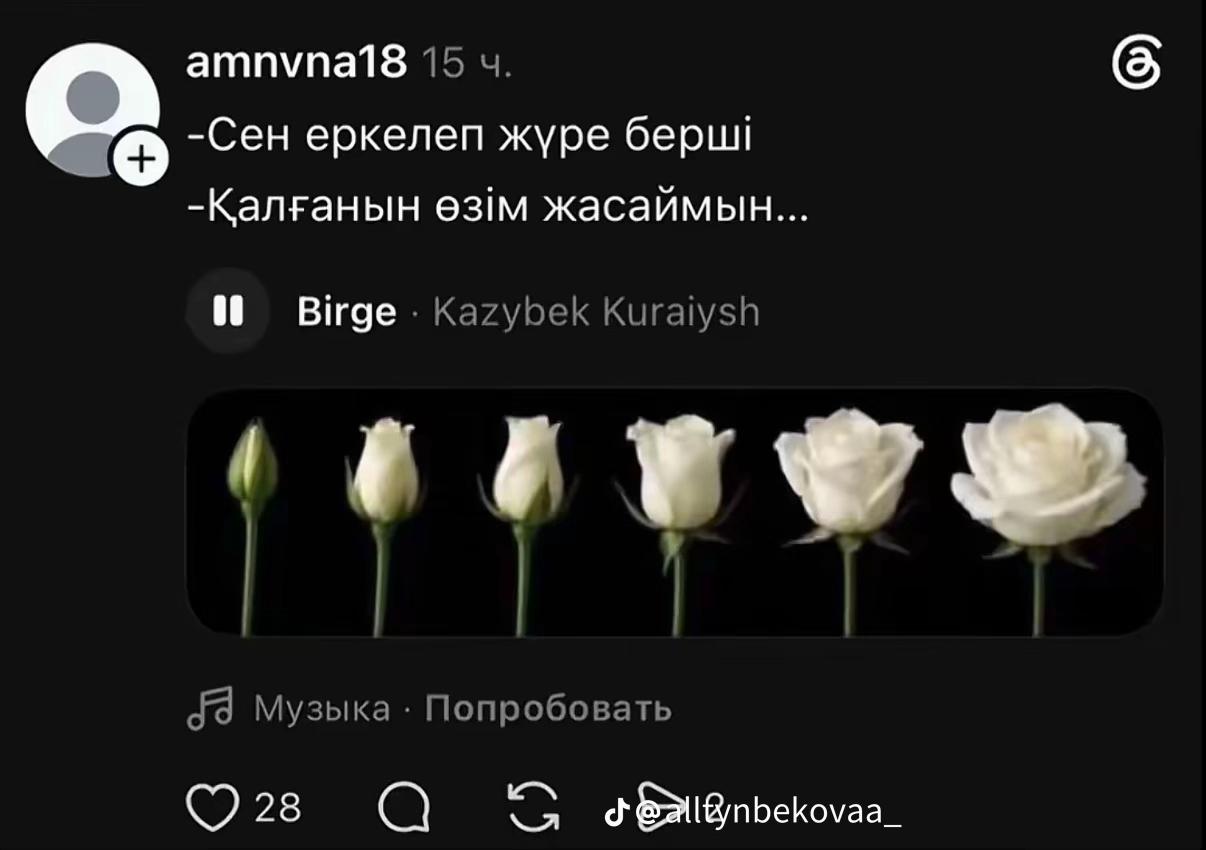 @Nurka🤍