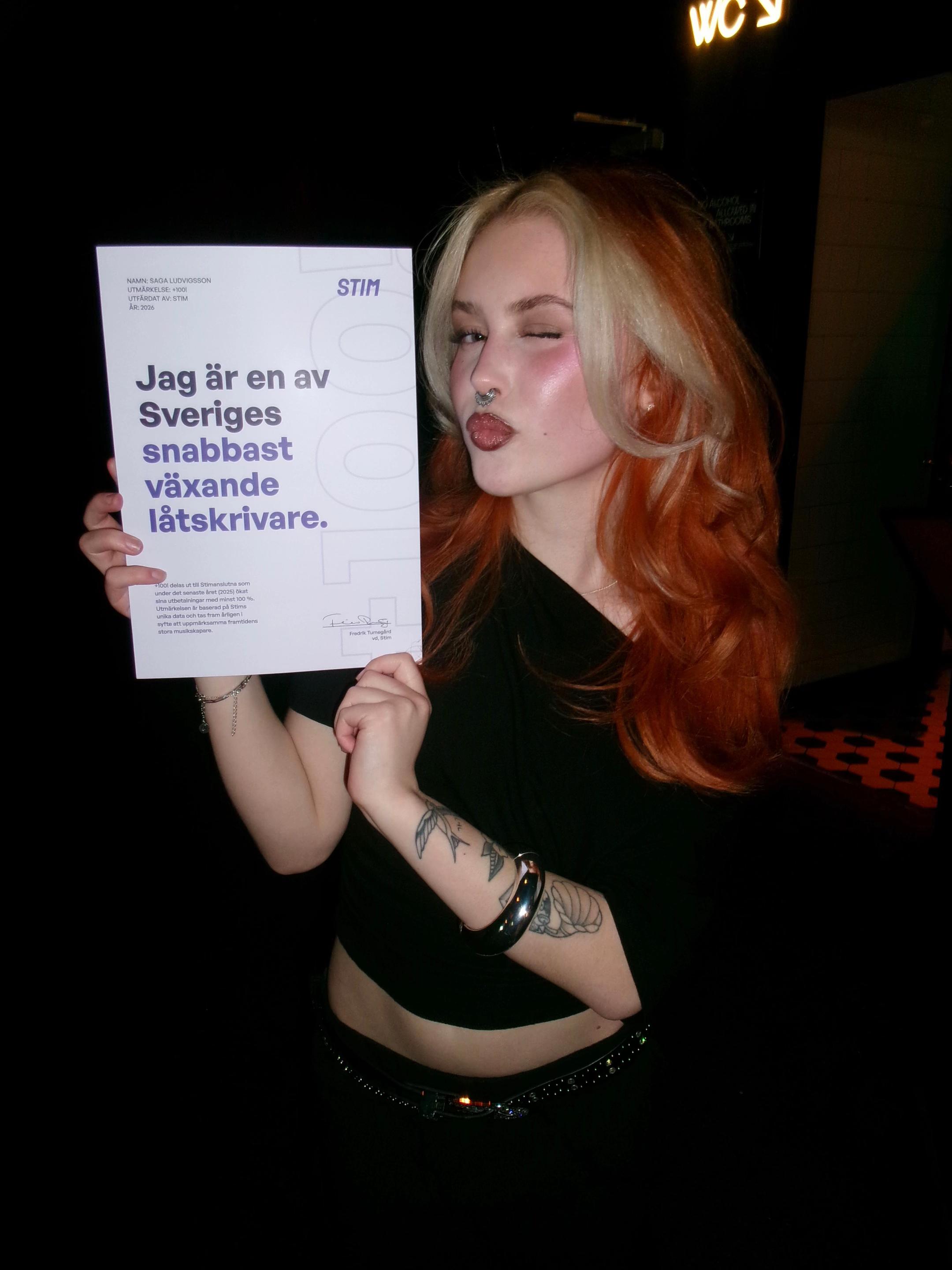 @sagaludvigsson
