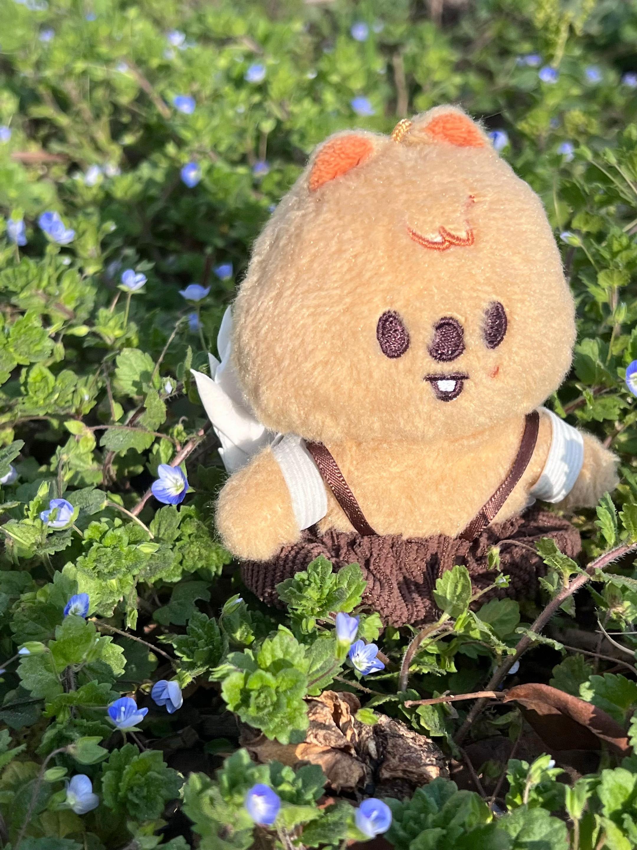 @︎︎ ⋆︎ FANY / 파니 ✮︎︎︎ |ʀᴜɴ ɪᴛ
