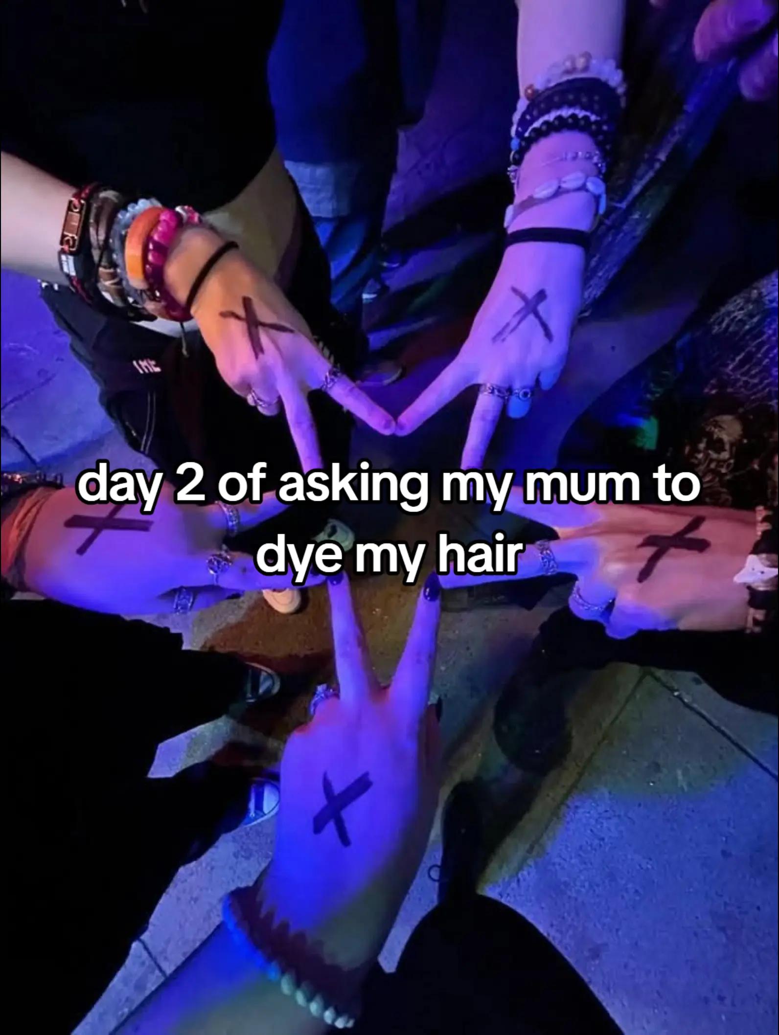 @vii.૮₍ ˶ᵔ ᵕ ᵔ˶ ₎ა