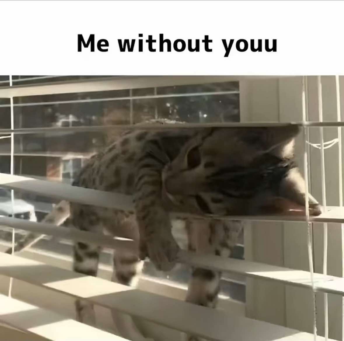 @thoughtswithred