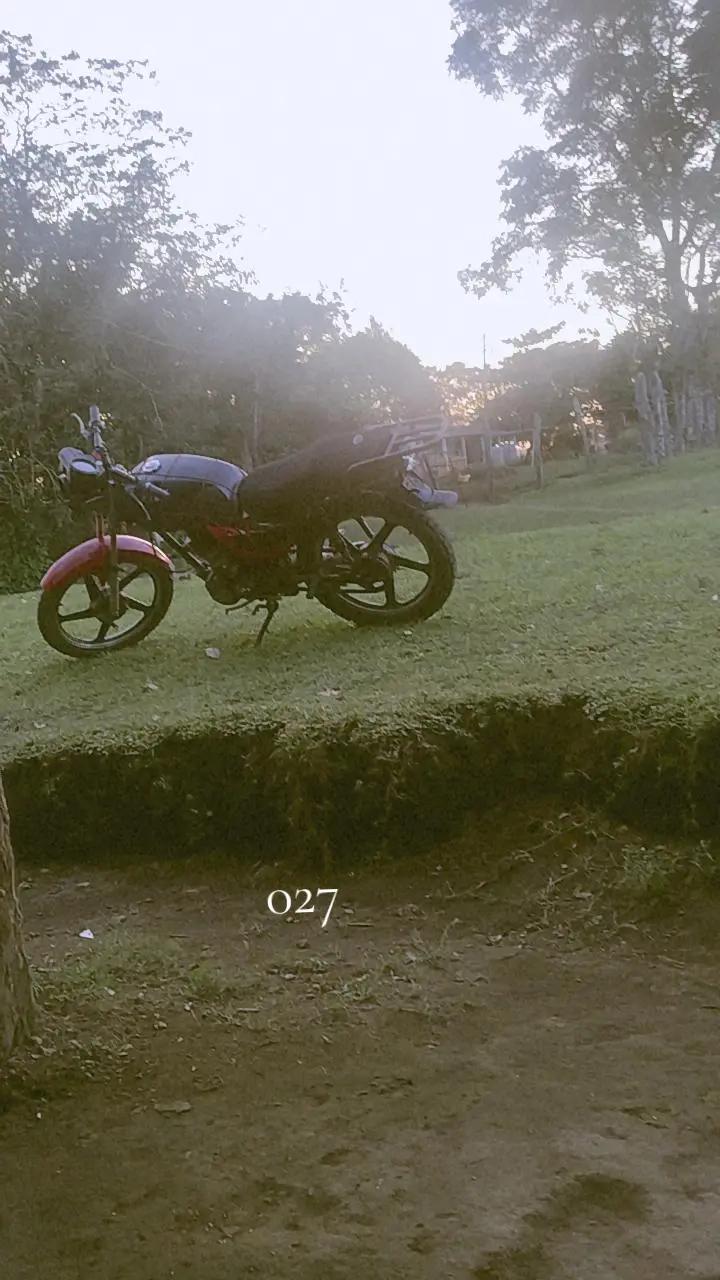 @lacherry