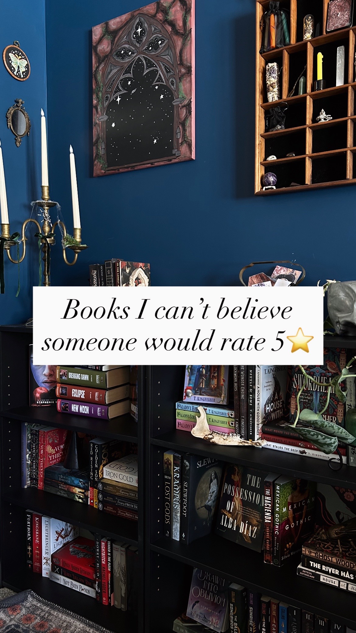 @lex 📚🕯️