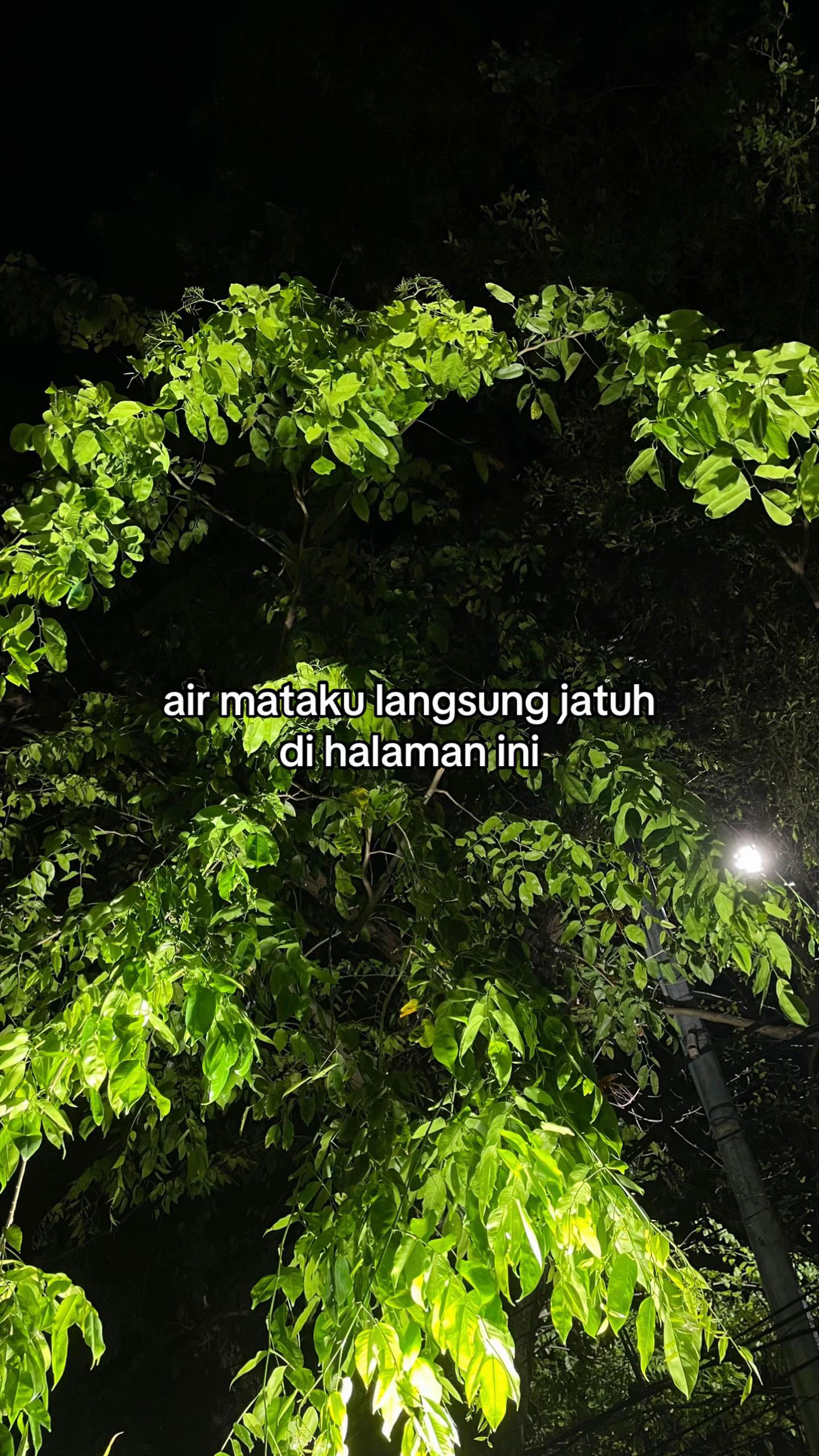 @Umar Nawir