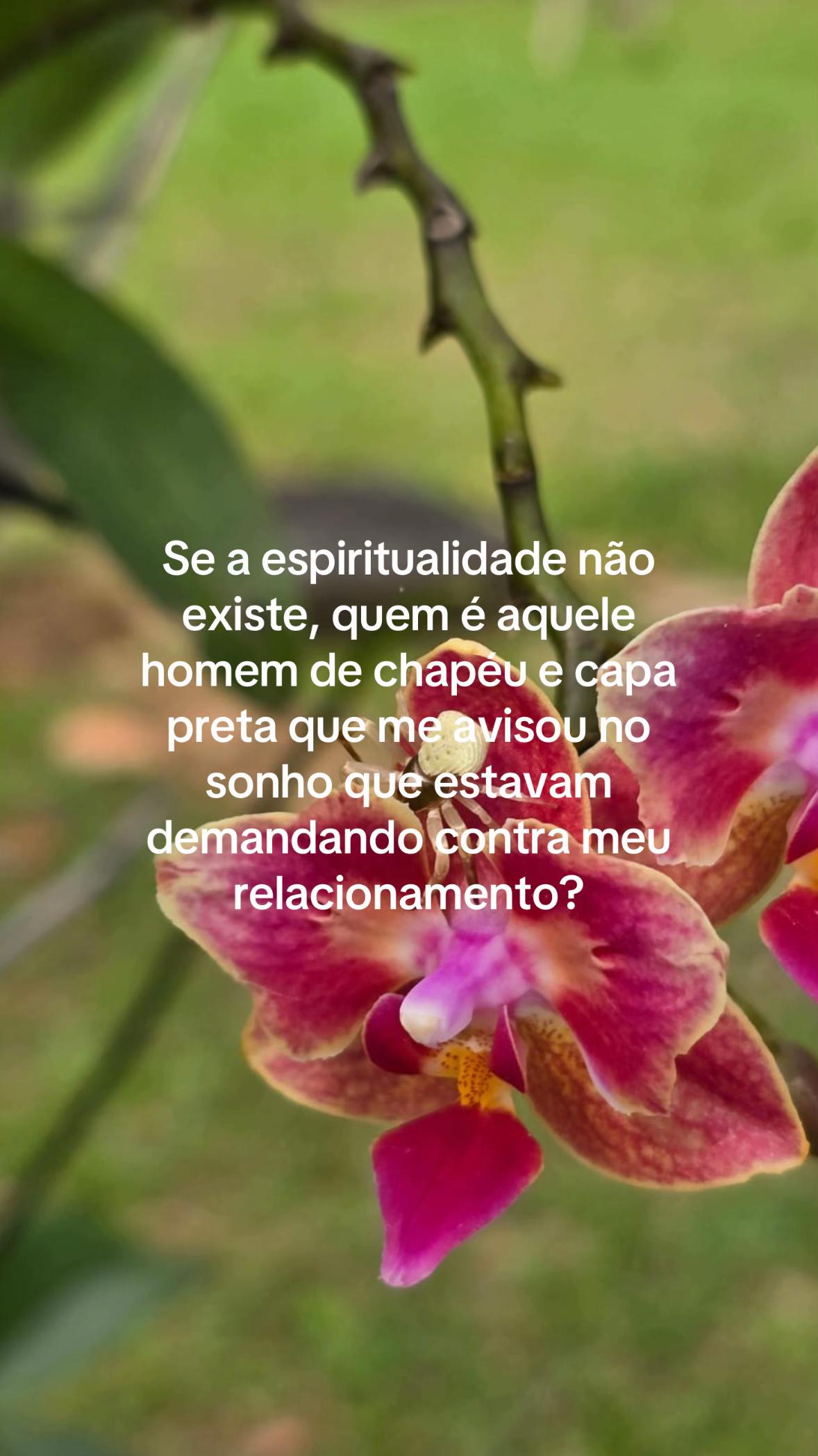 @Luli Trovão