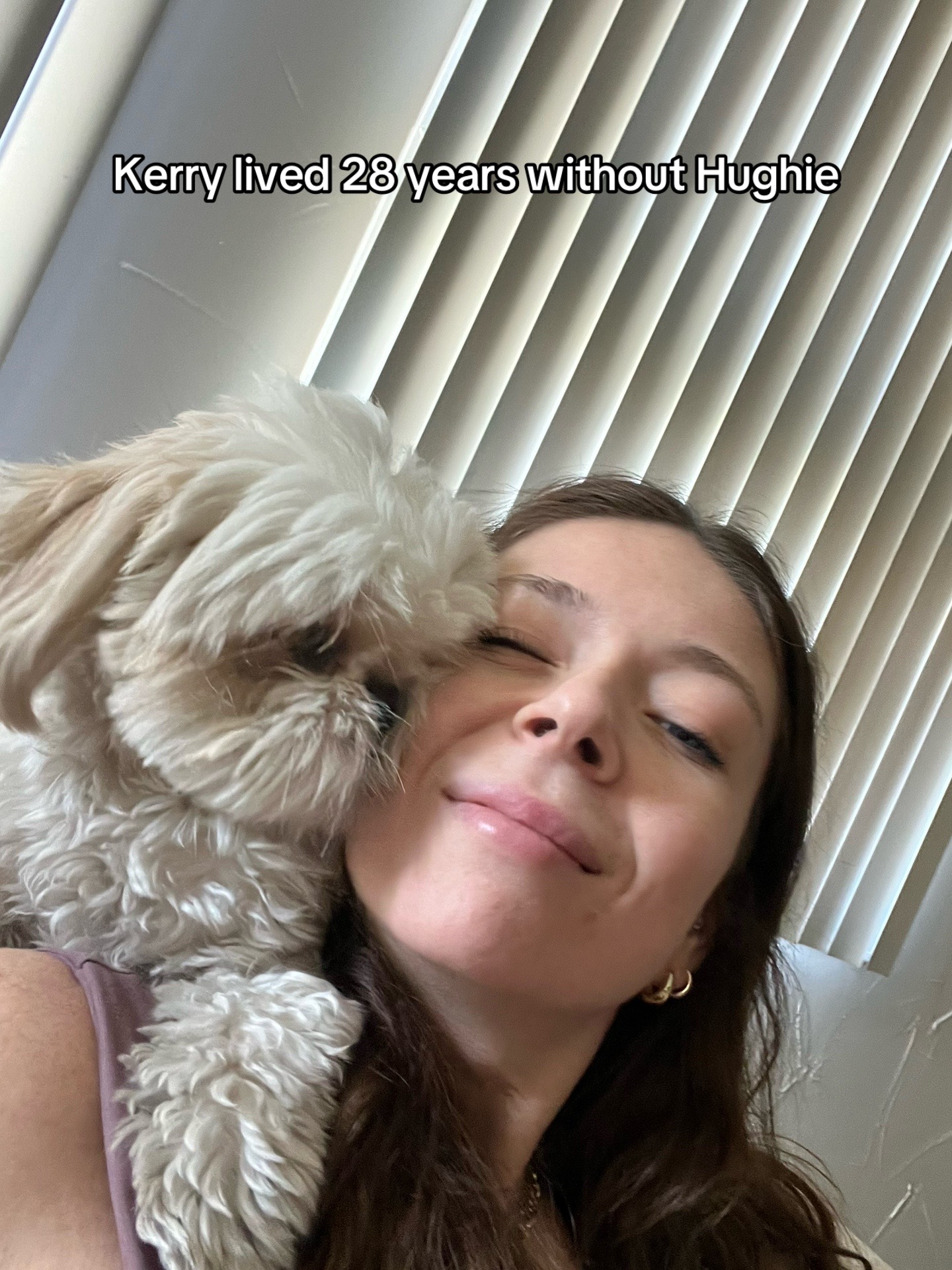 @Hugh the Shih Tzu