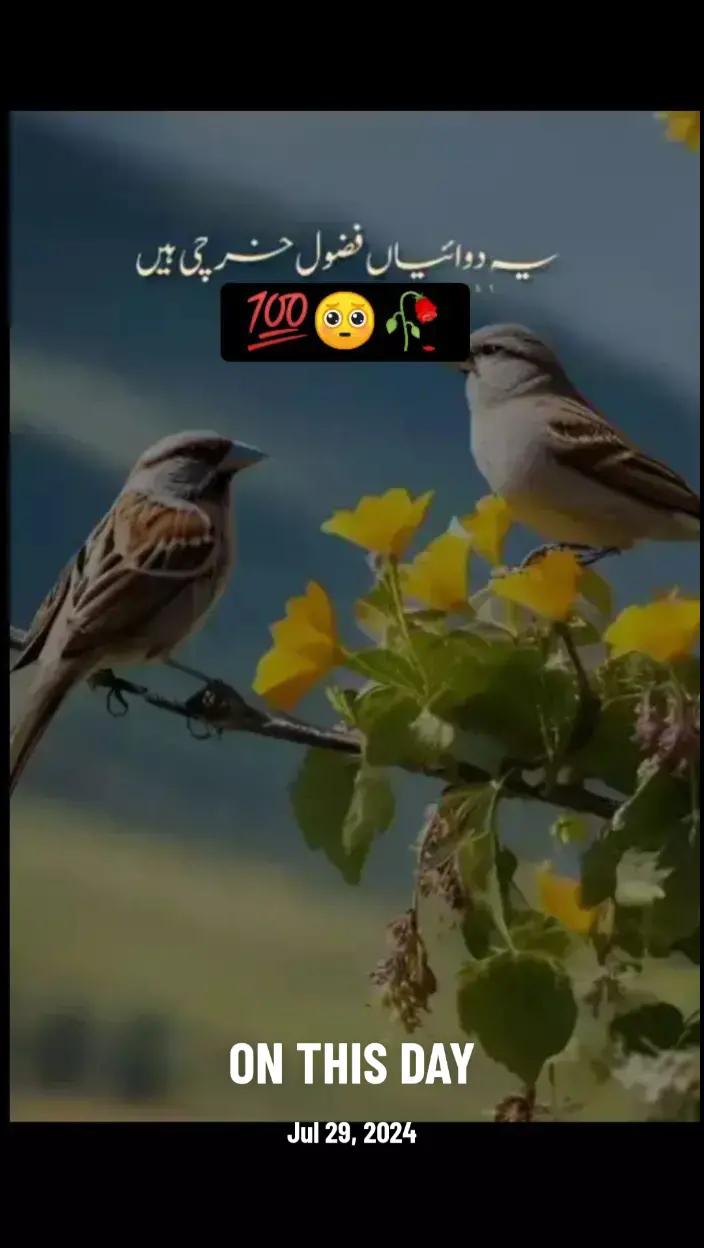@Minahil_writes510