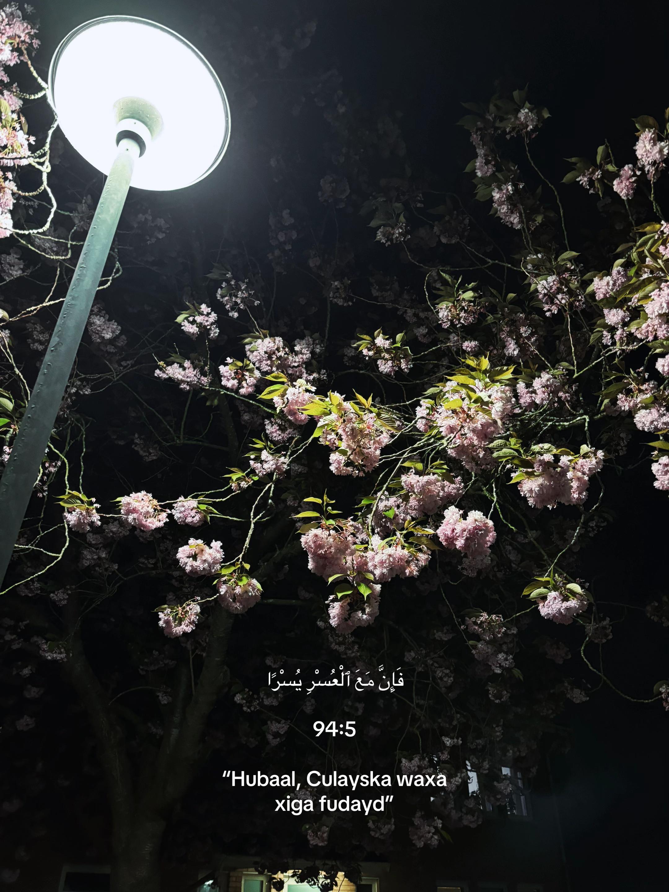 @︎ ︎ ︎
