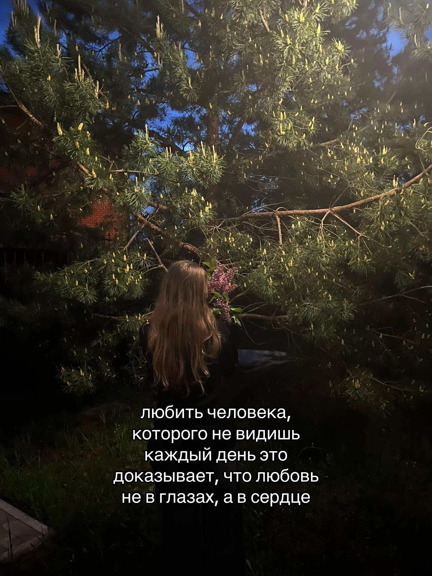 @поднебесная