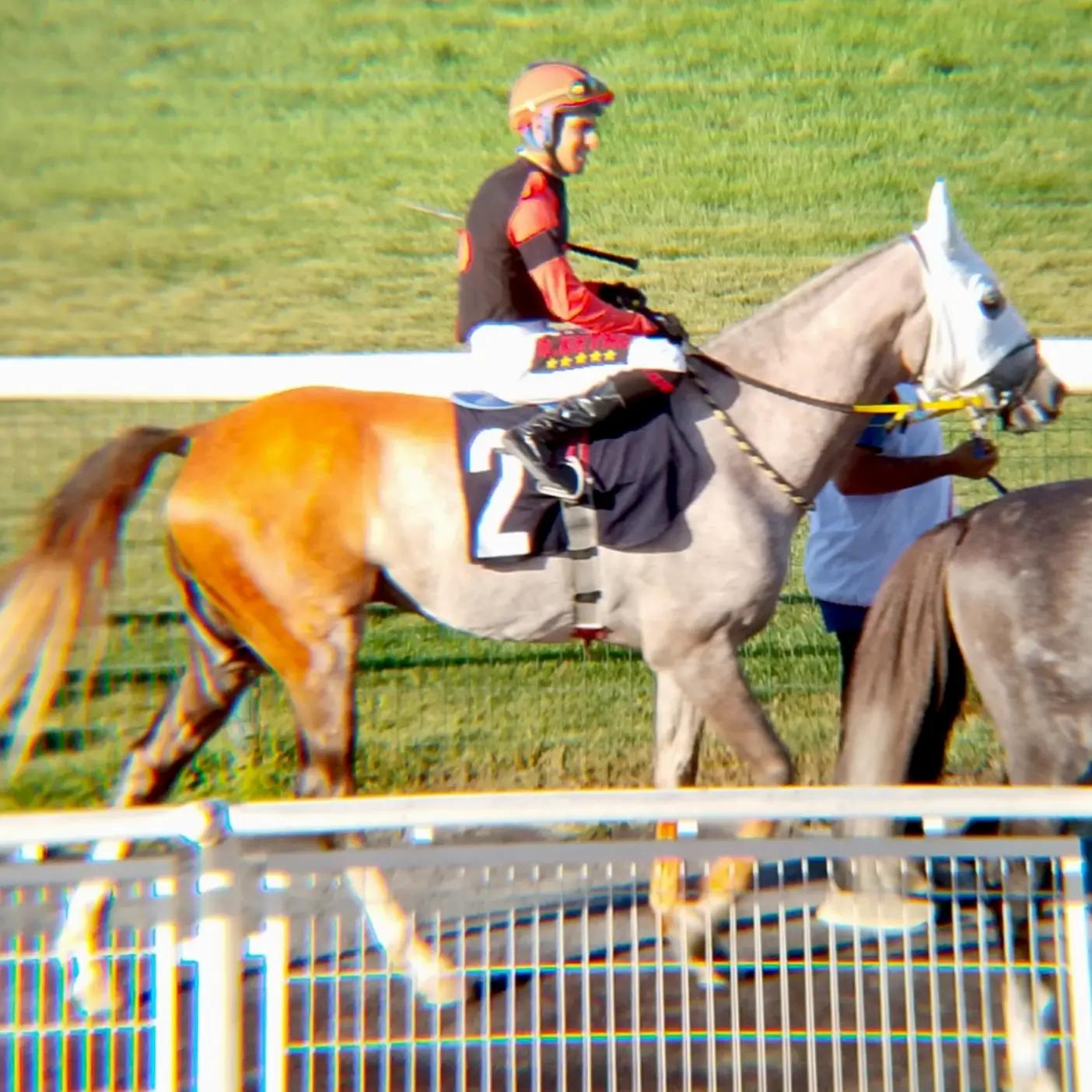 @brs horse racing