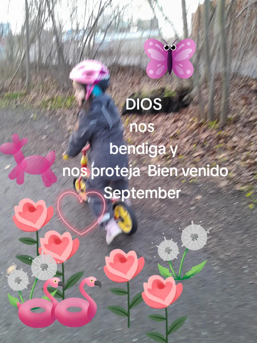 @Emilia Larsson