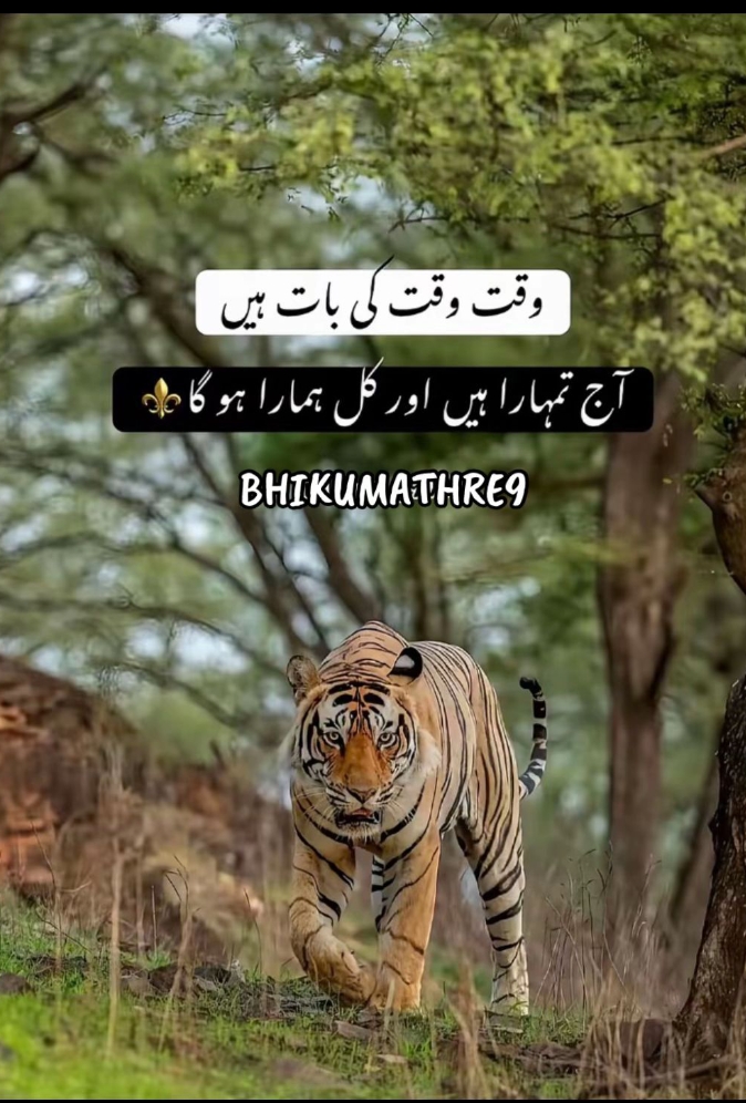 @︻╦╤─Ak47╾━╤デ╦︻
