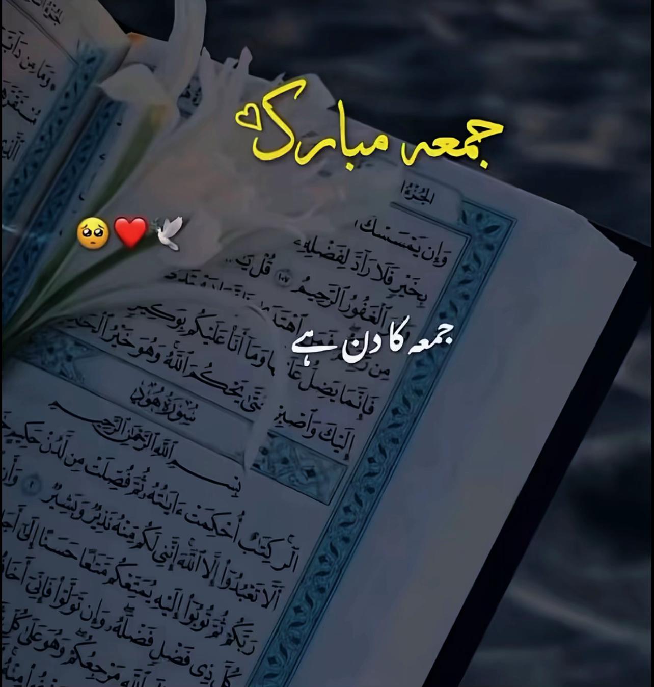 @𝚂𝚁_♕♡