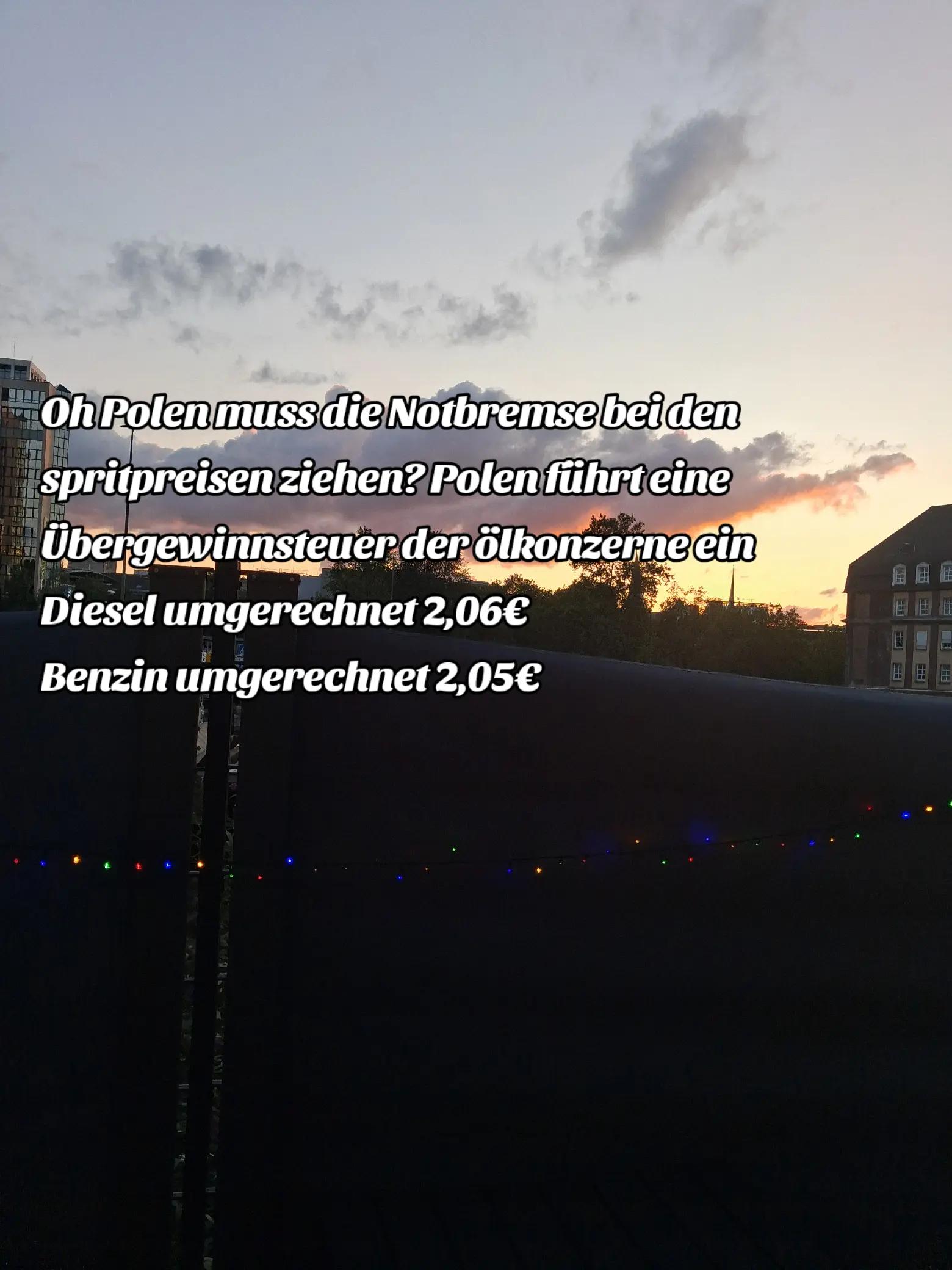 @Pup_Punker_AntiAfD