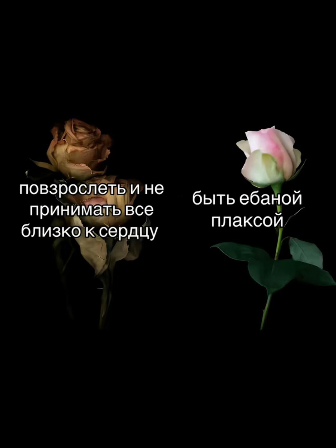 @Настя Бабастя