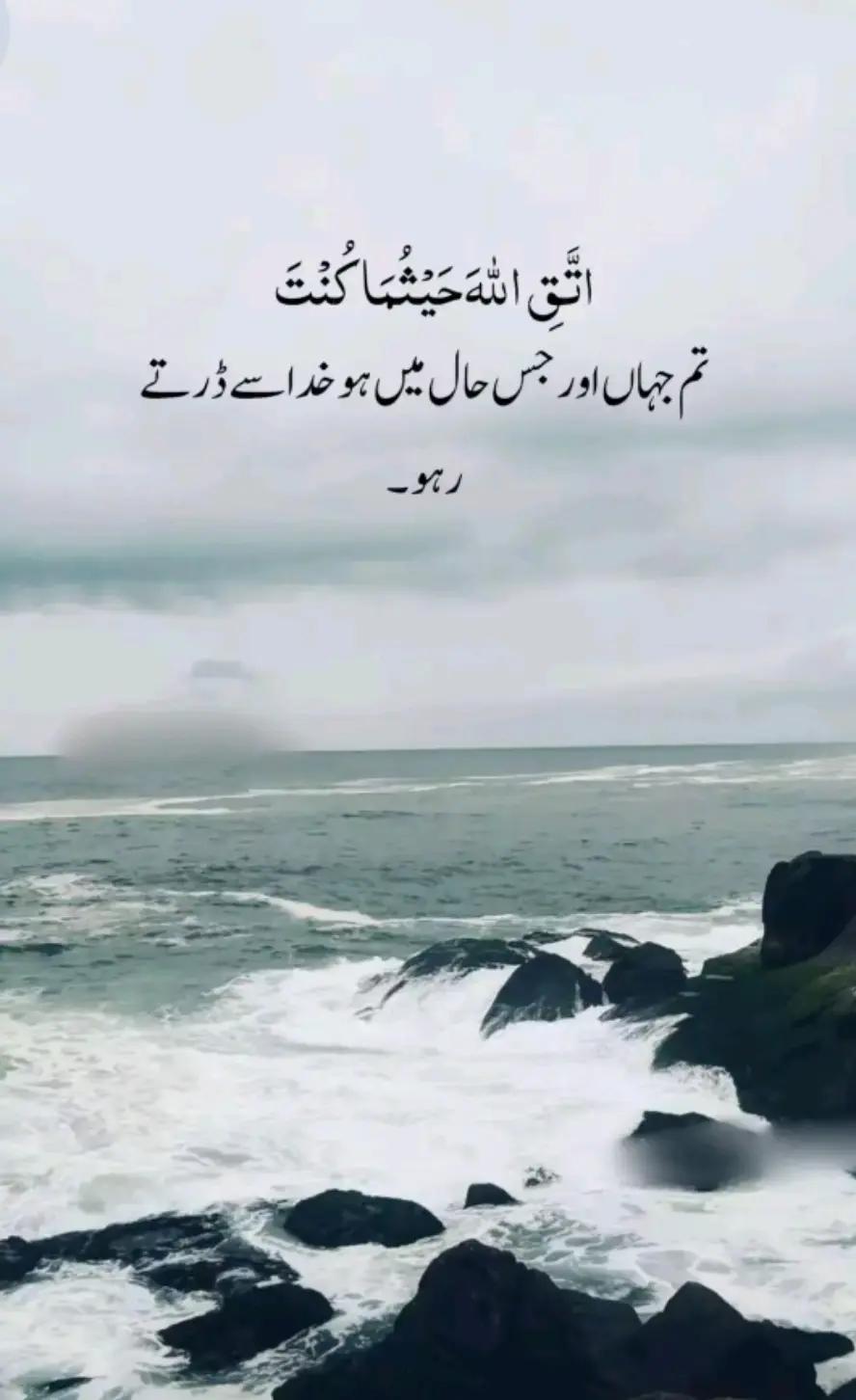 @☞─=≡Σ□°گمنام کشمیری✧