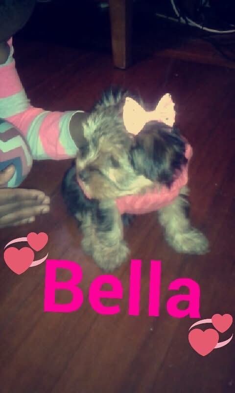 @@ pretty girl, Dia❤️👑