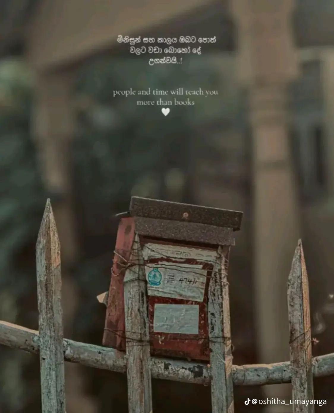 @𝐑𝐚𝐡𝐮𝐦𝐚𝐧📌💌
