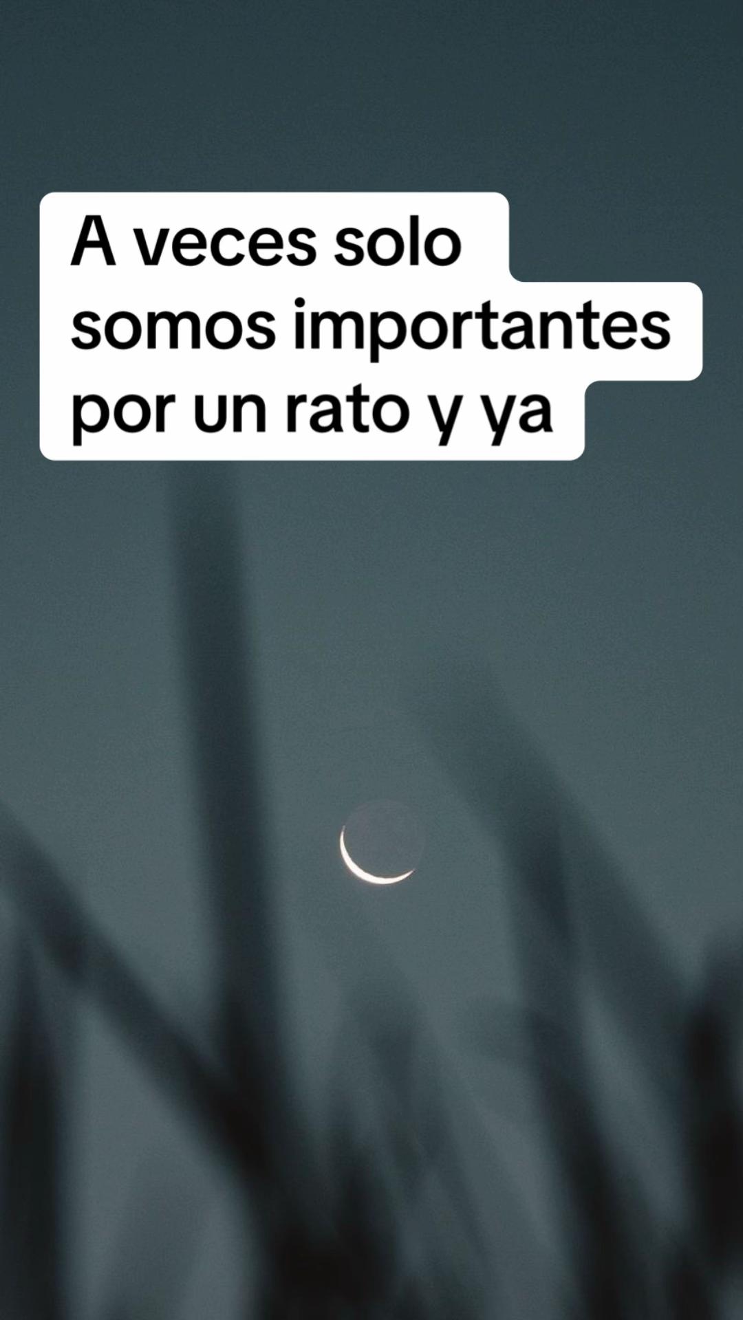 @FRASES 🌸