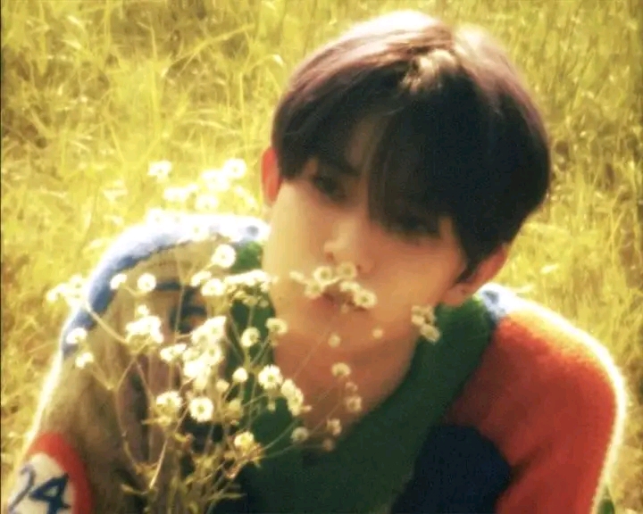 @˚⋆𐙚｡⋆sang zhi˚⋆𐙚｡