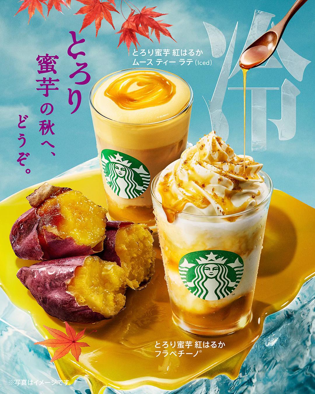@厳選‼︎おすすめスポット