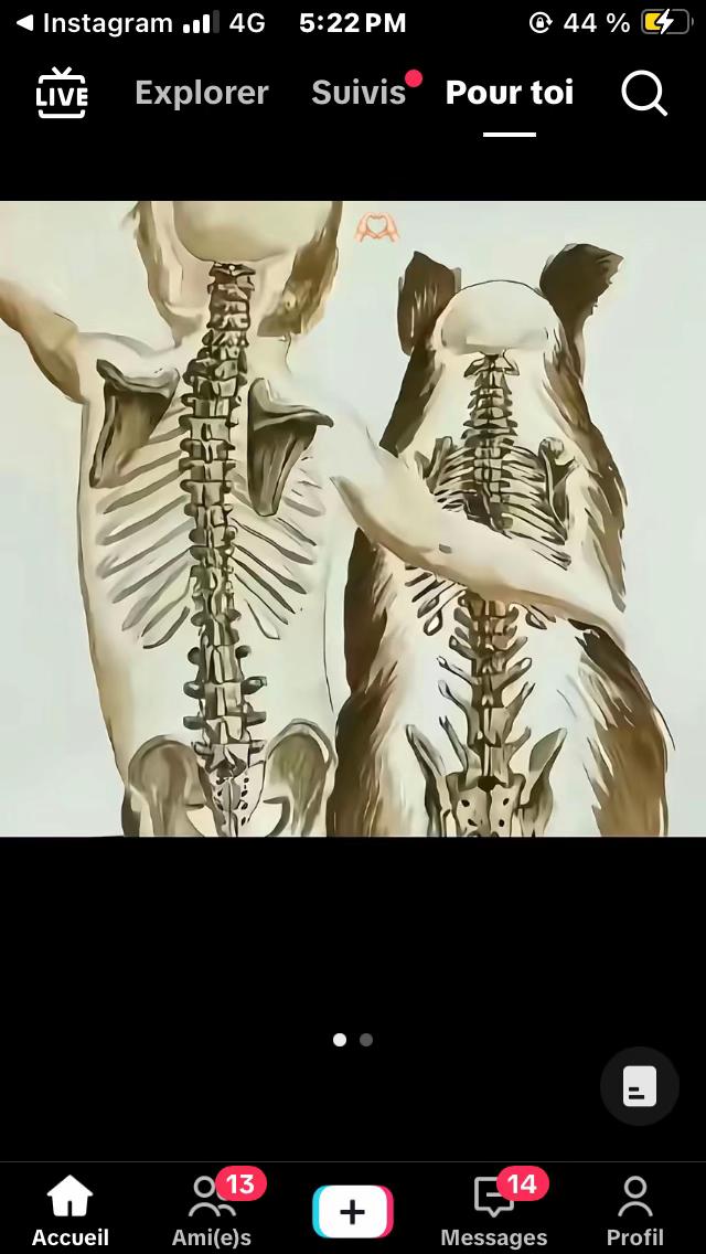 @tunisino__08