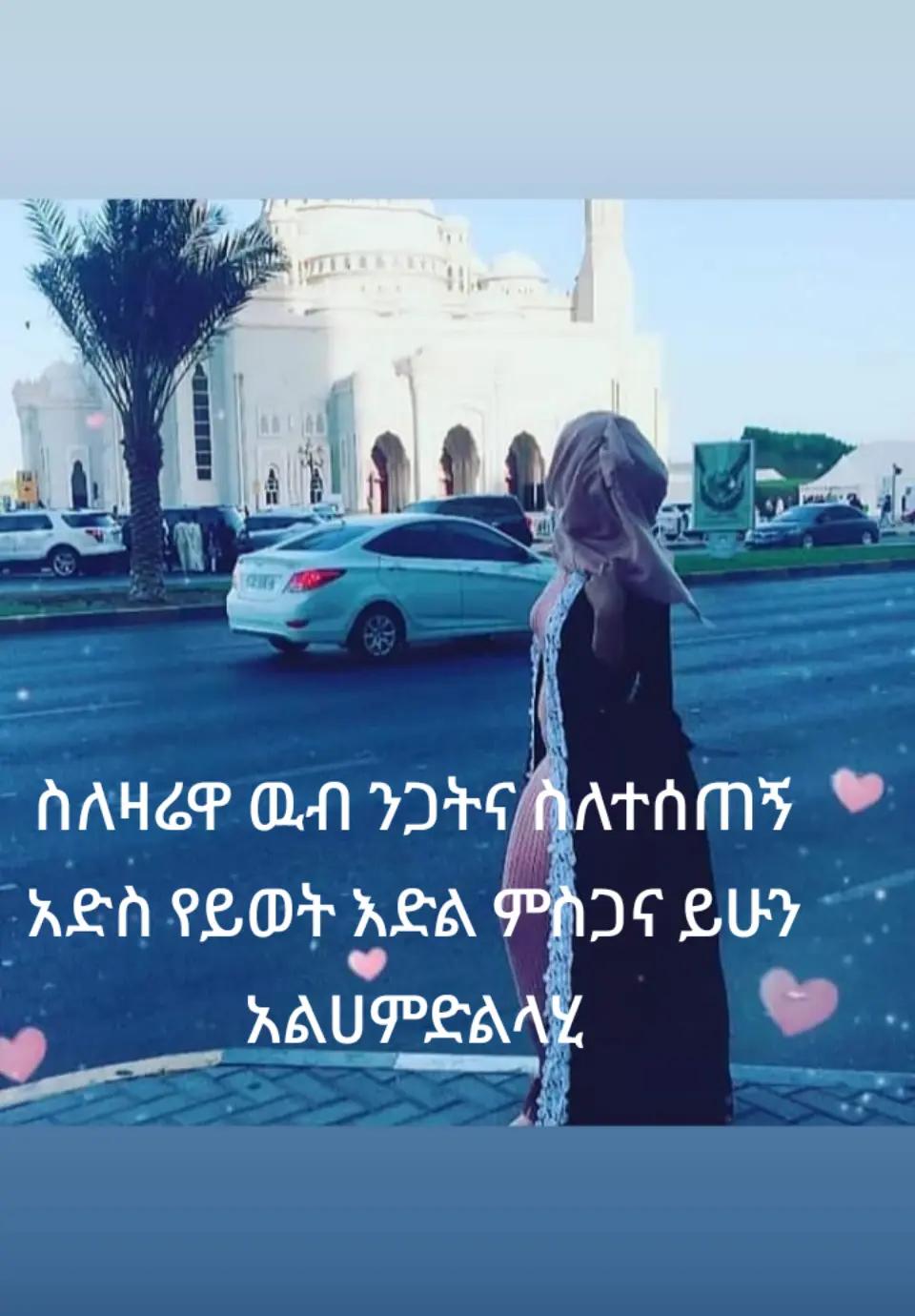 @seada
