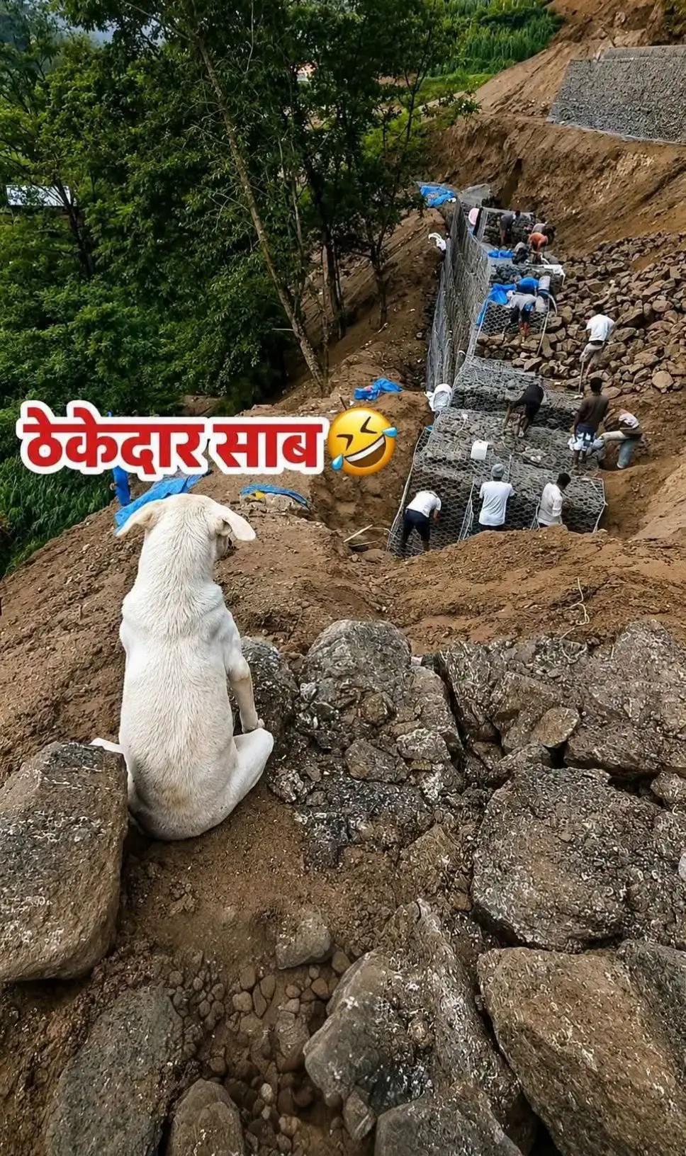 @🧿Jharana oli🫶🧿