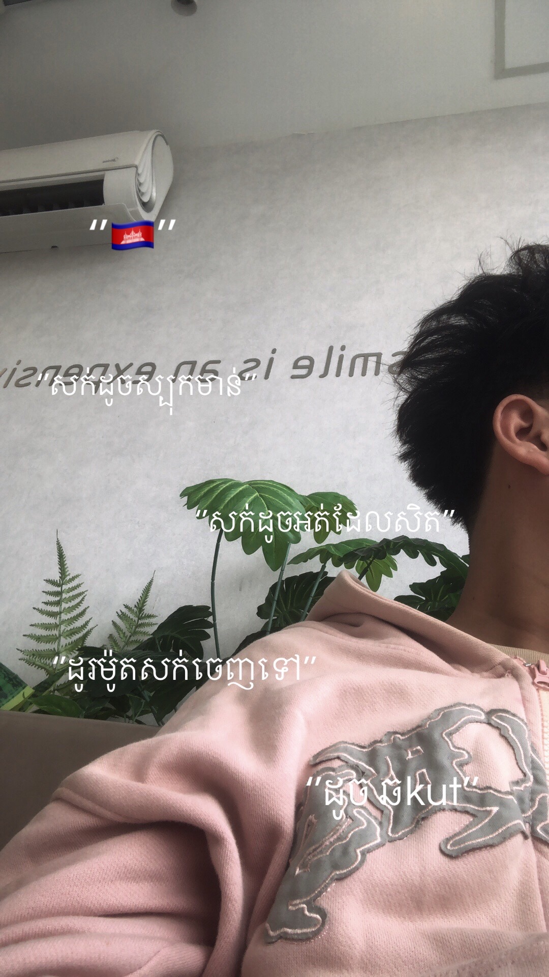 @๓๓.