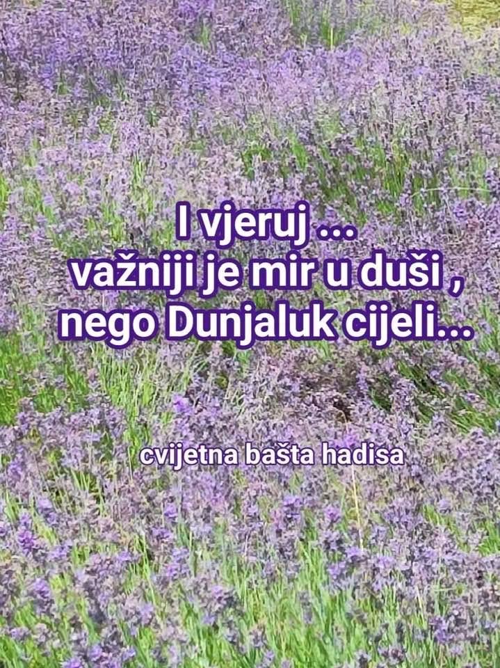@Oko čamparasto 🌼