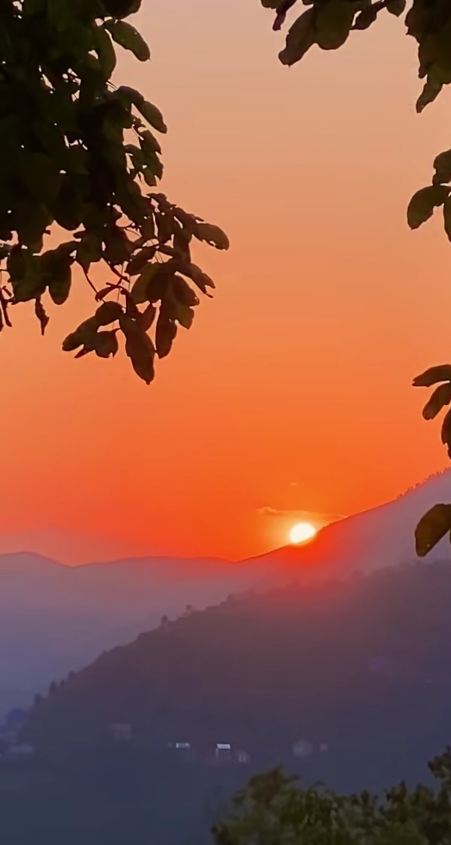 @Sunita Limbu