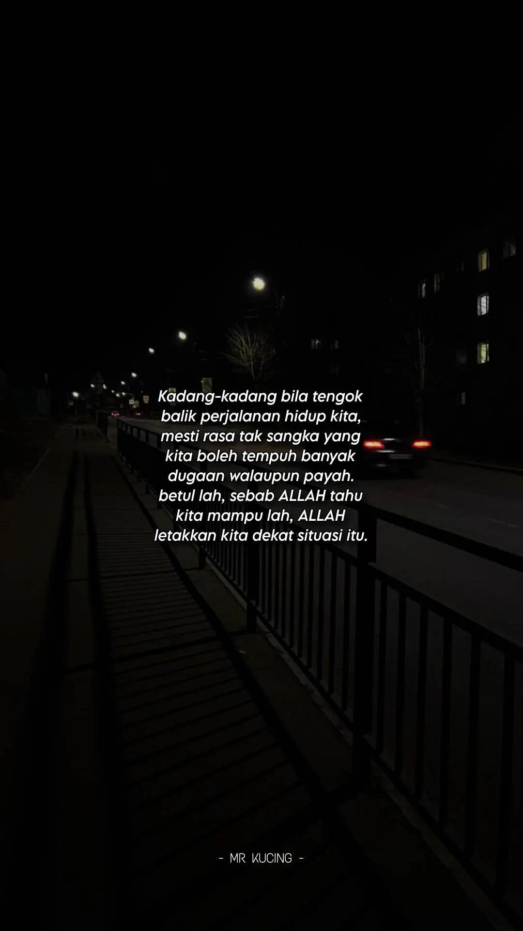 @MR KUCING 🇵🇸