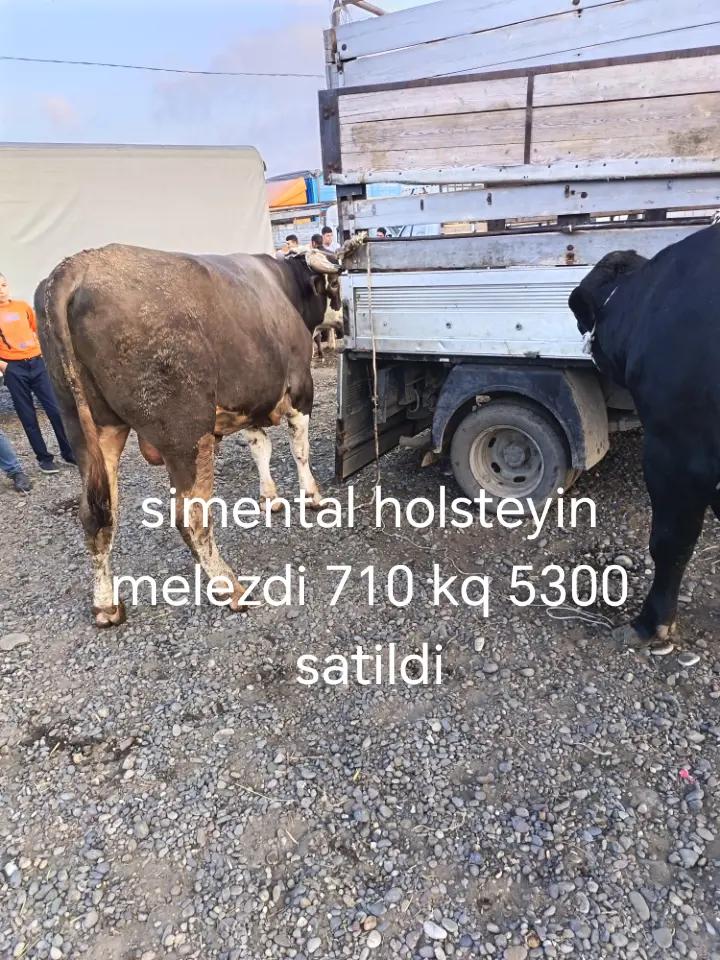 @🇦🇿 Fermer 11 🇹🇷