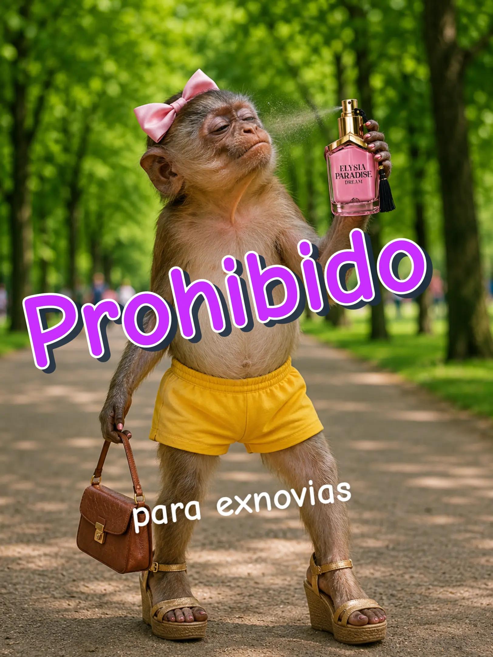 @misubi26 Perfumes y joyas