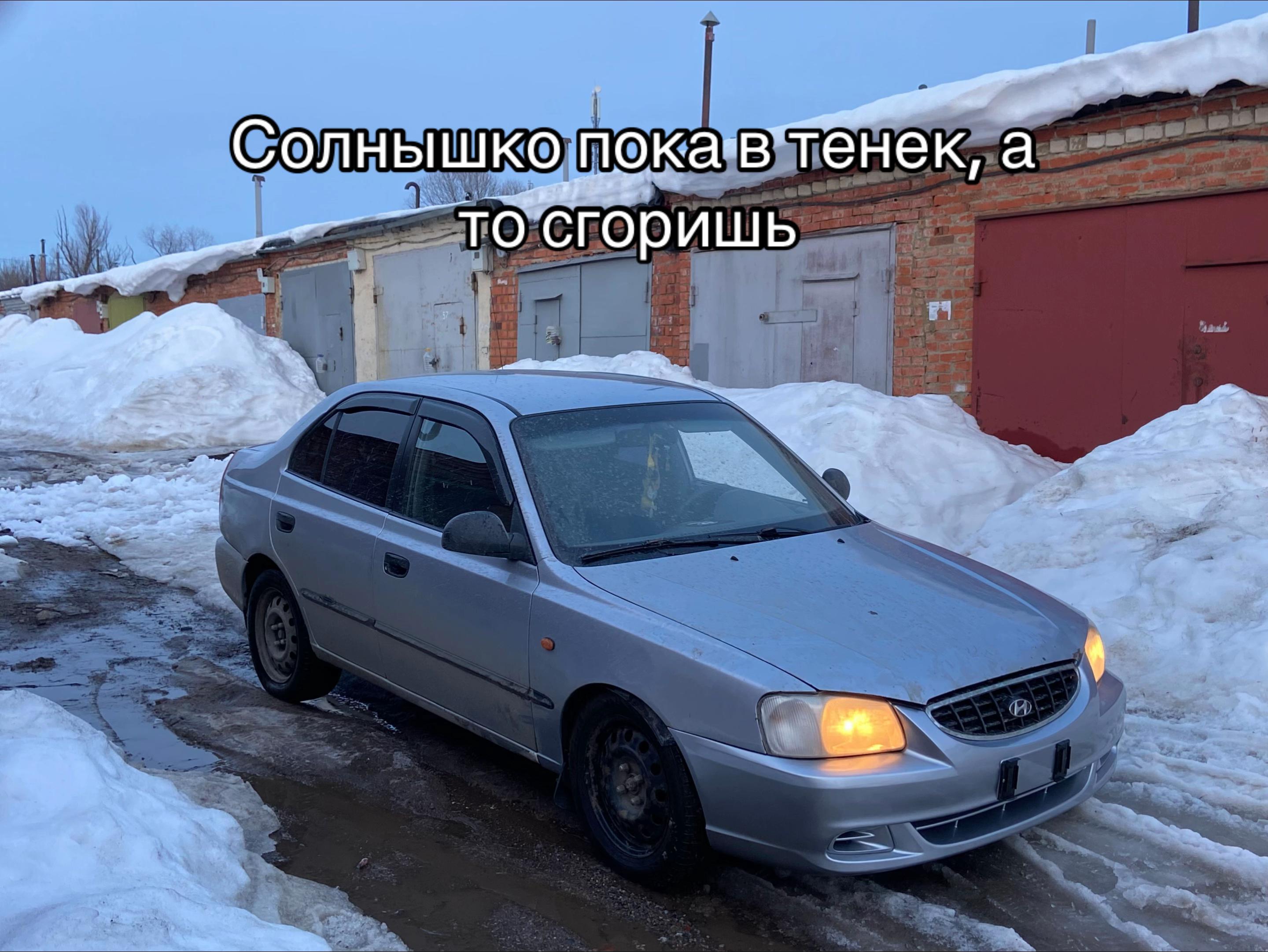 @Алеее киски городе