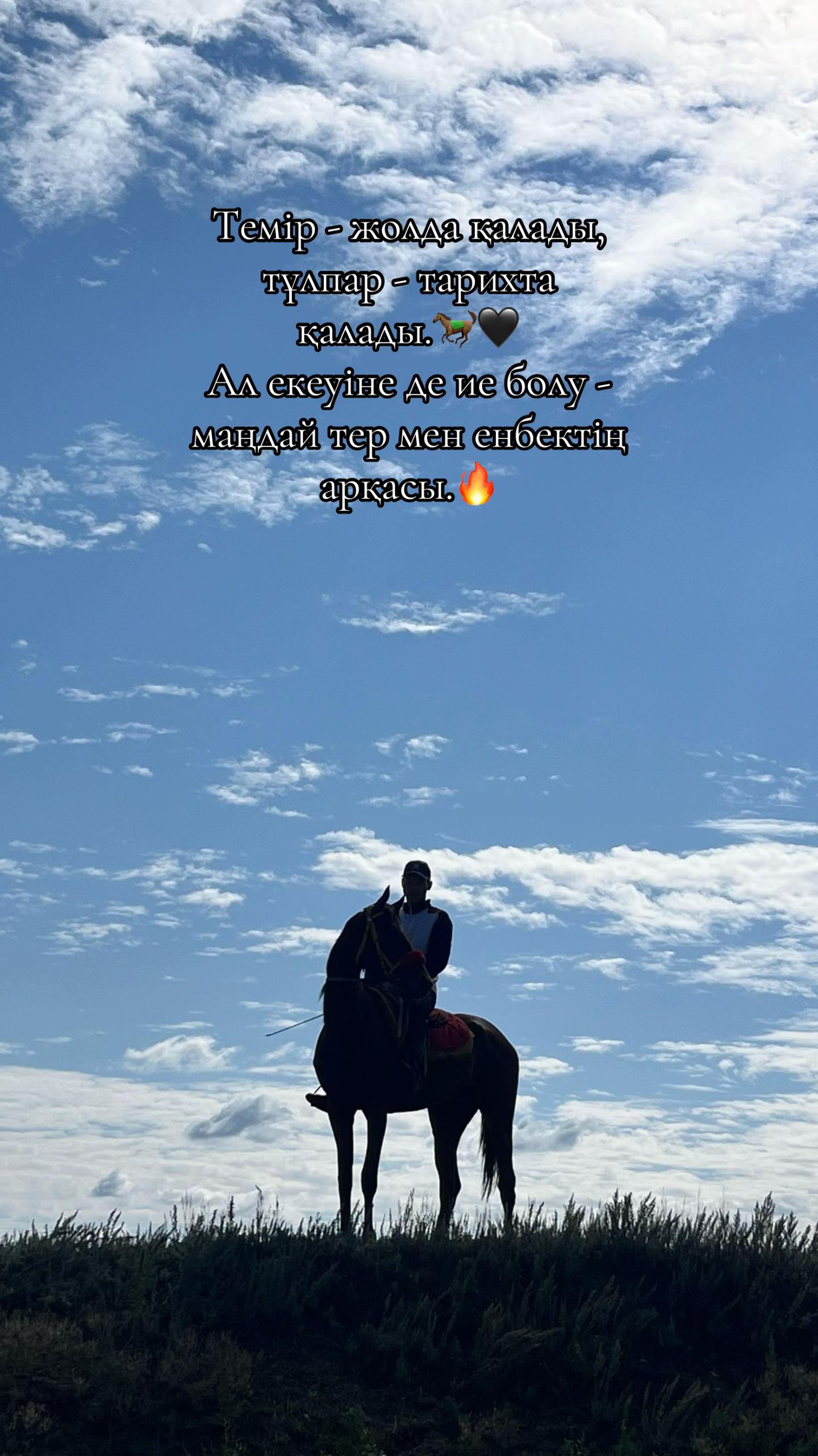 @🐎❤️