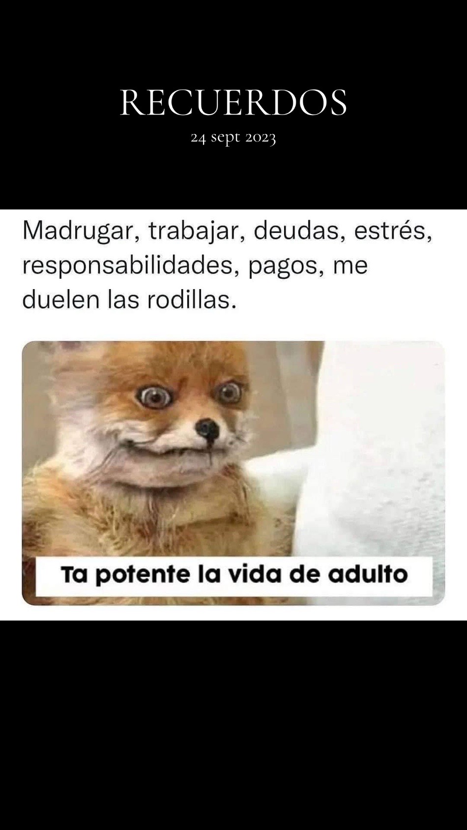 @OficialH🇵🇷🇩🇴💙🤏