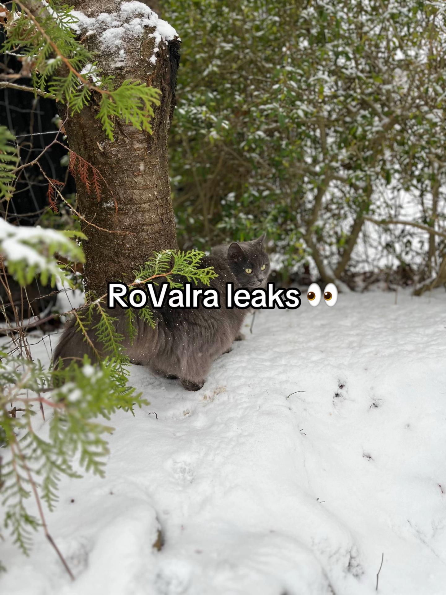 @ValraWantBanana
