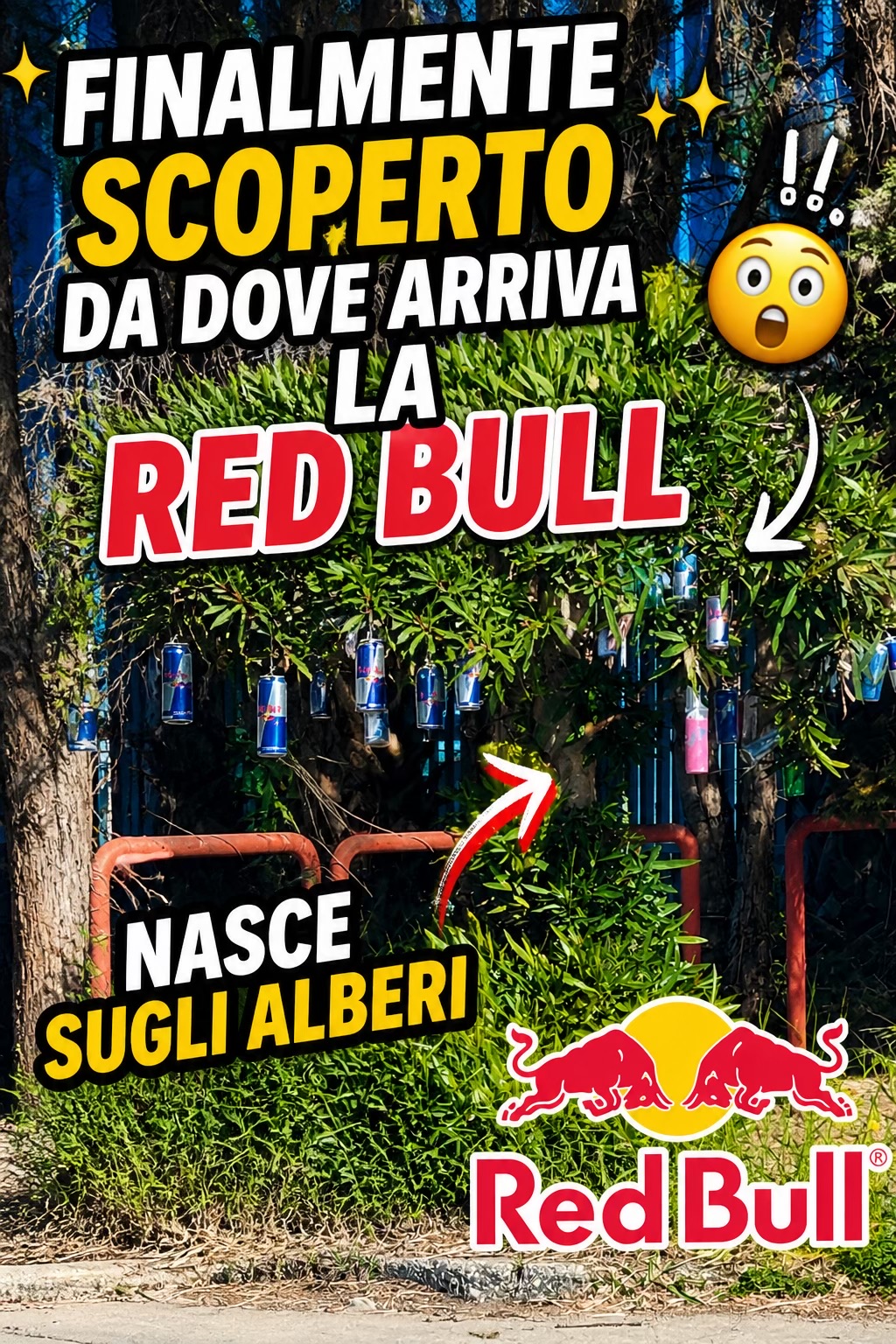 @Albertone2682