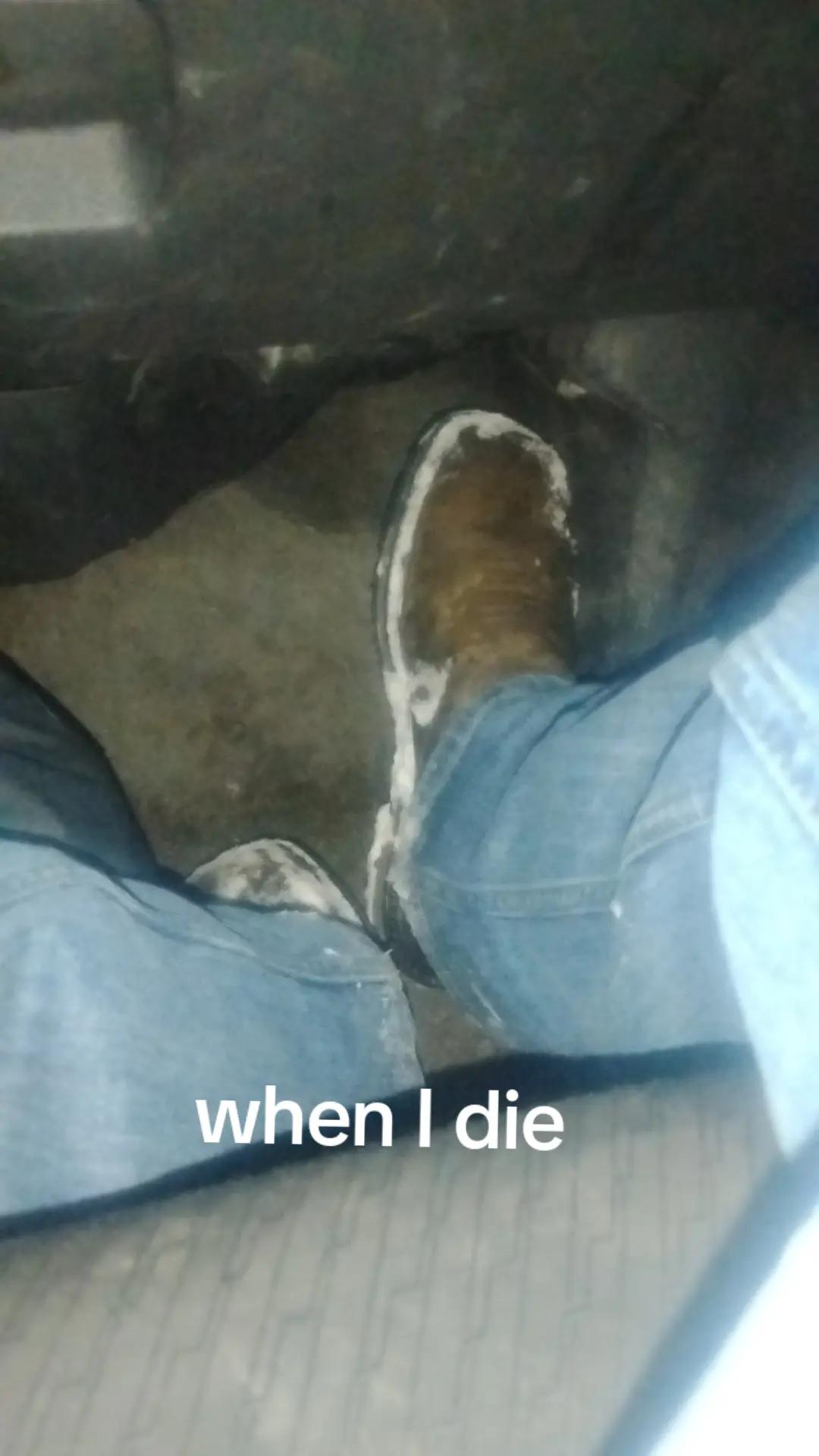 @Zaidyn Cummer