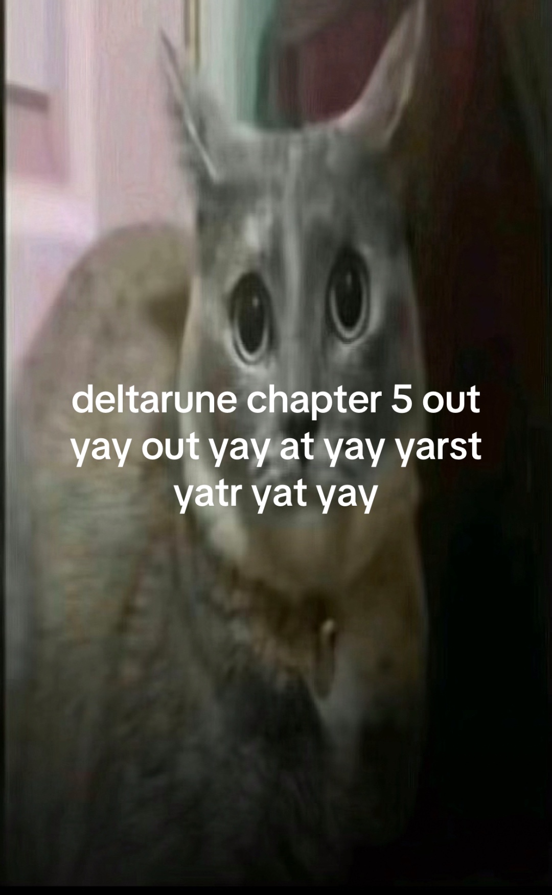@Jazzhands