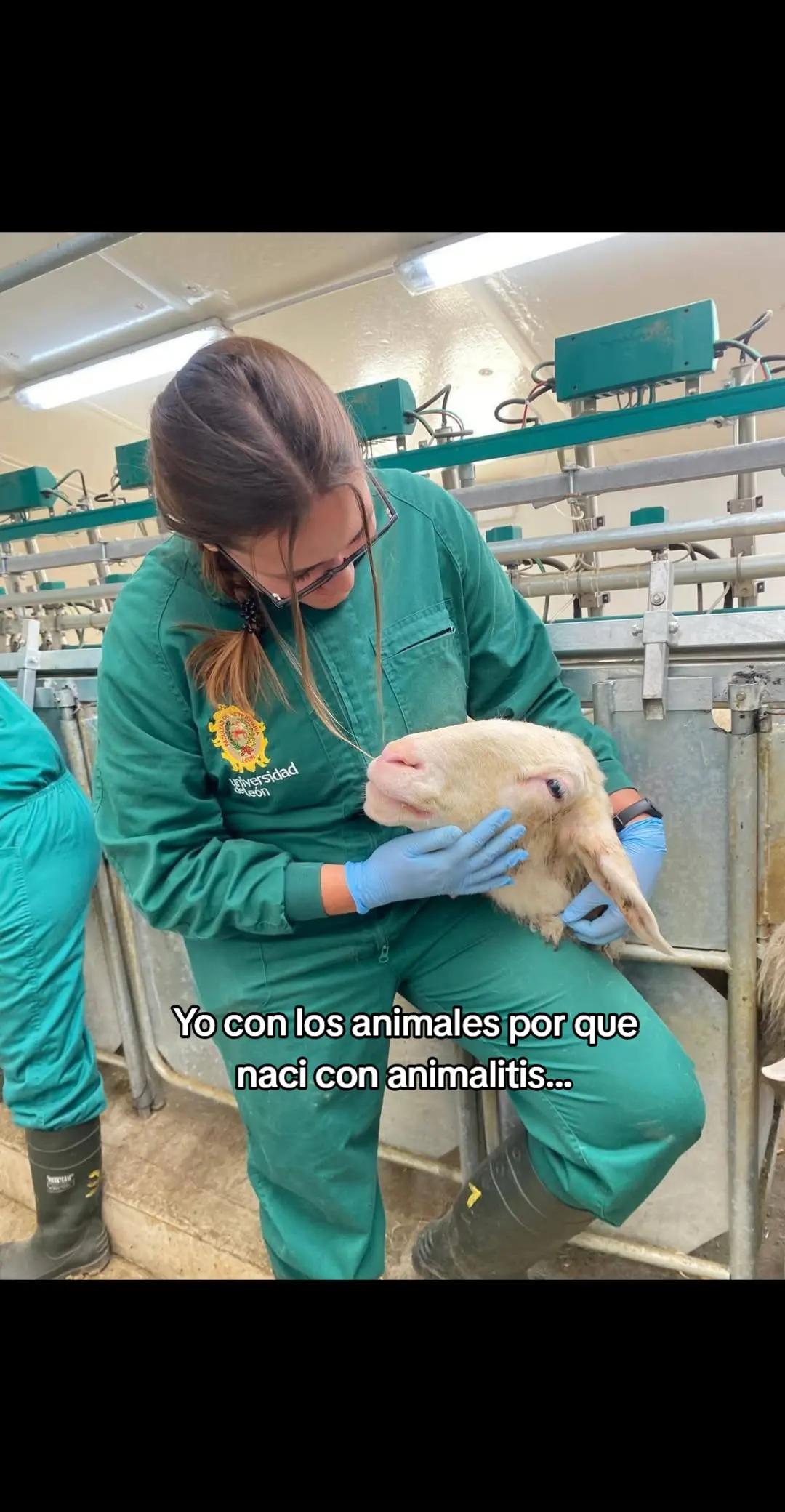 @Lara Tabares 🩺🐄