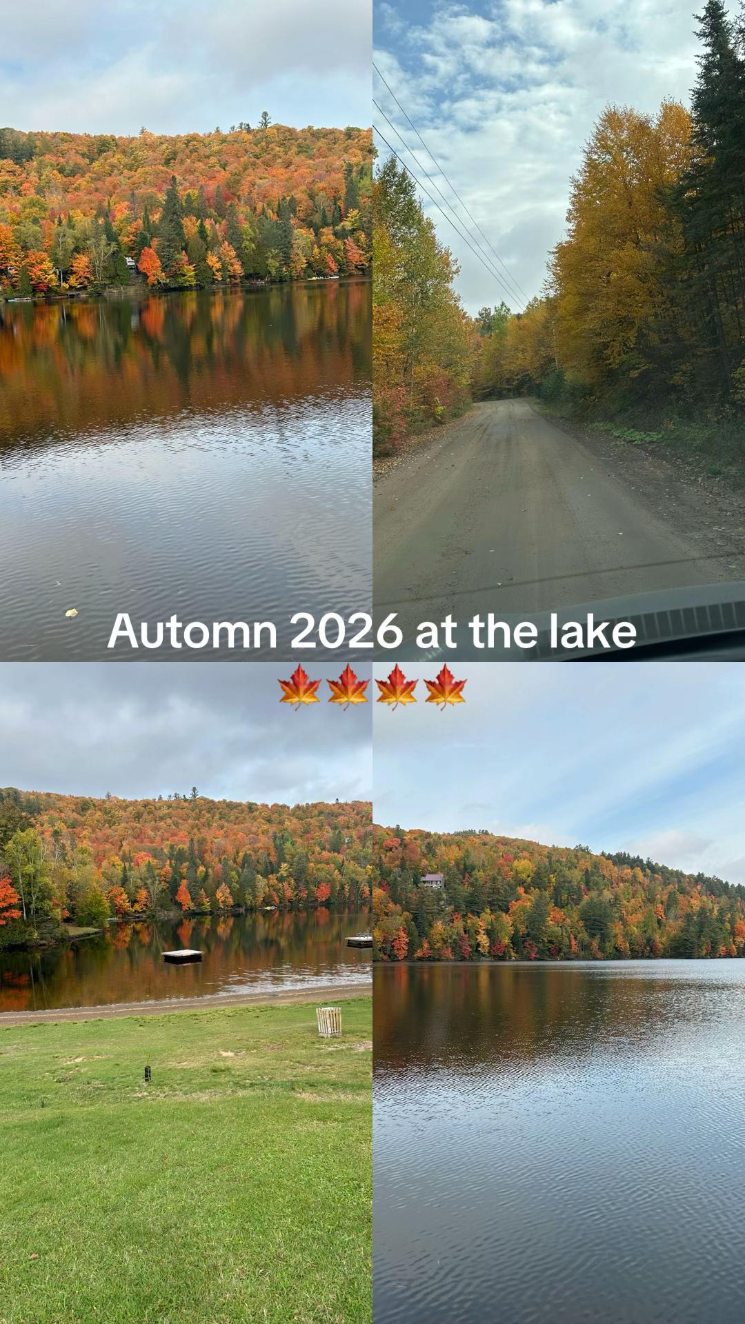 @caroleperreault55