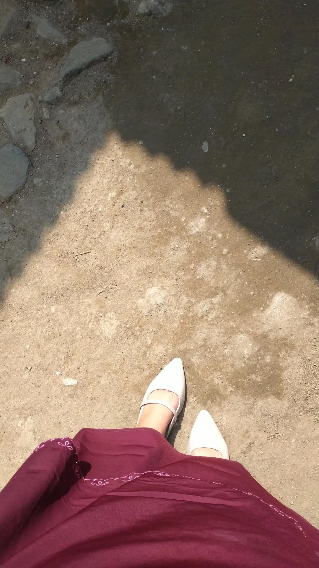 @🌻