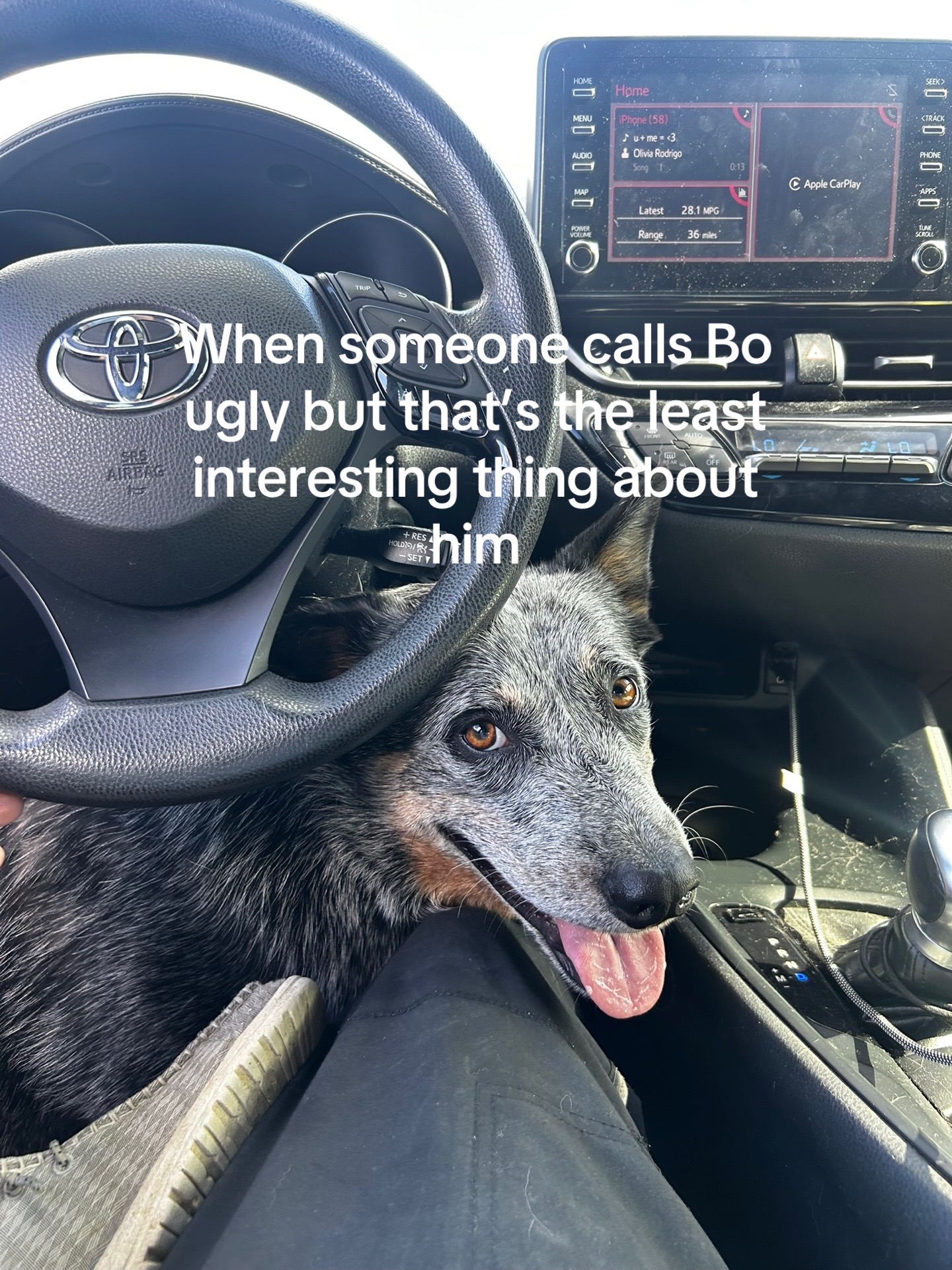 @Life With Bo